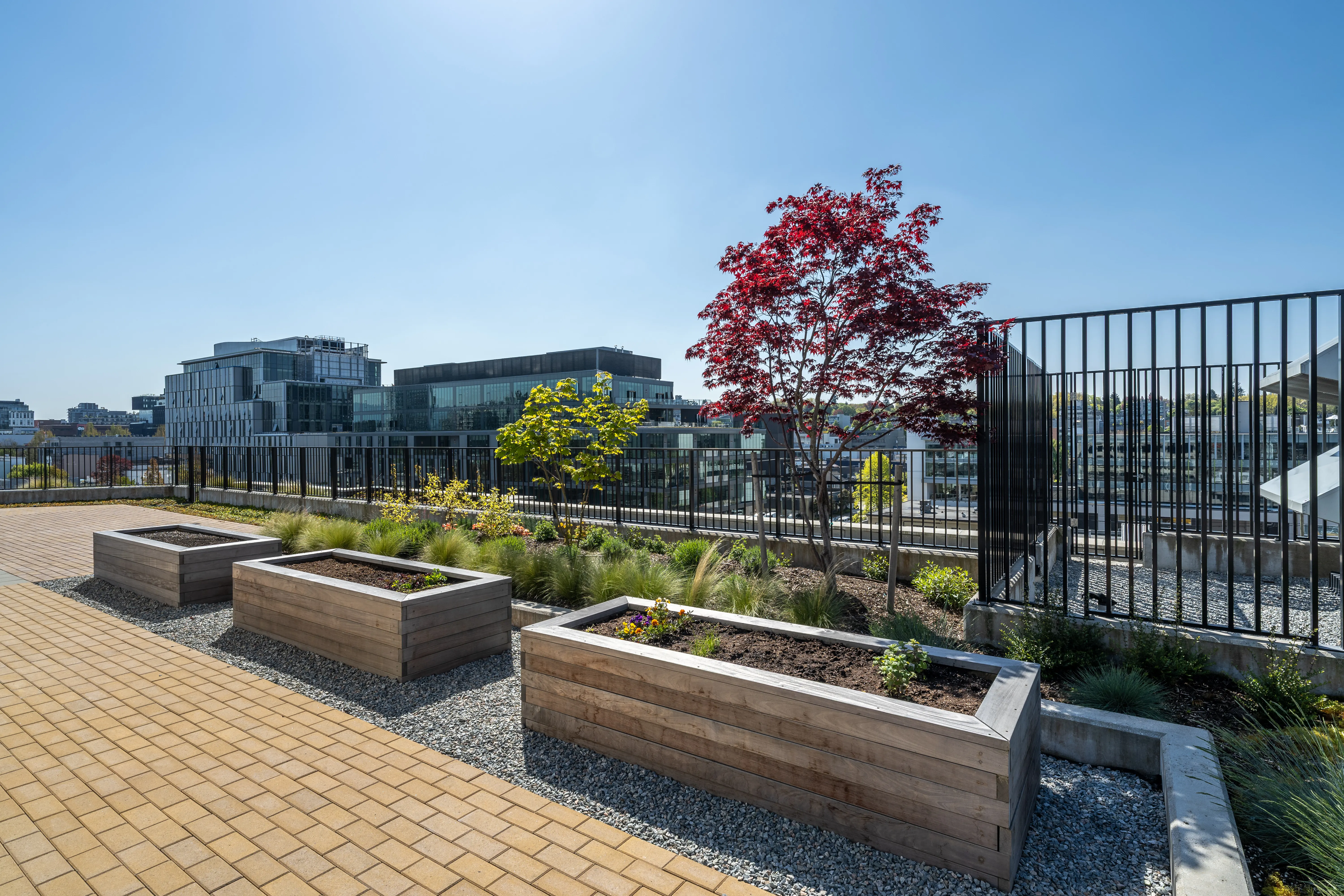 Timber raised planters on a brick-paved rooftop at Ofisworks