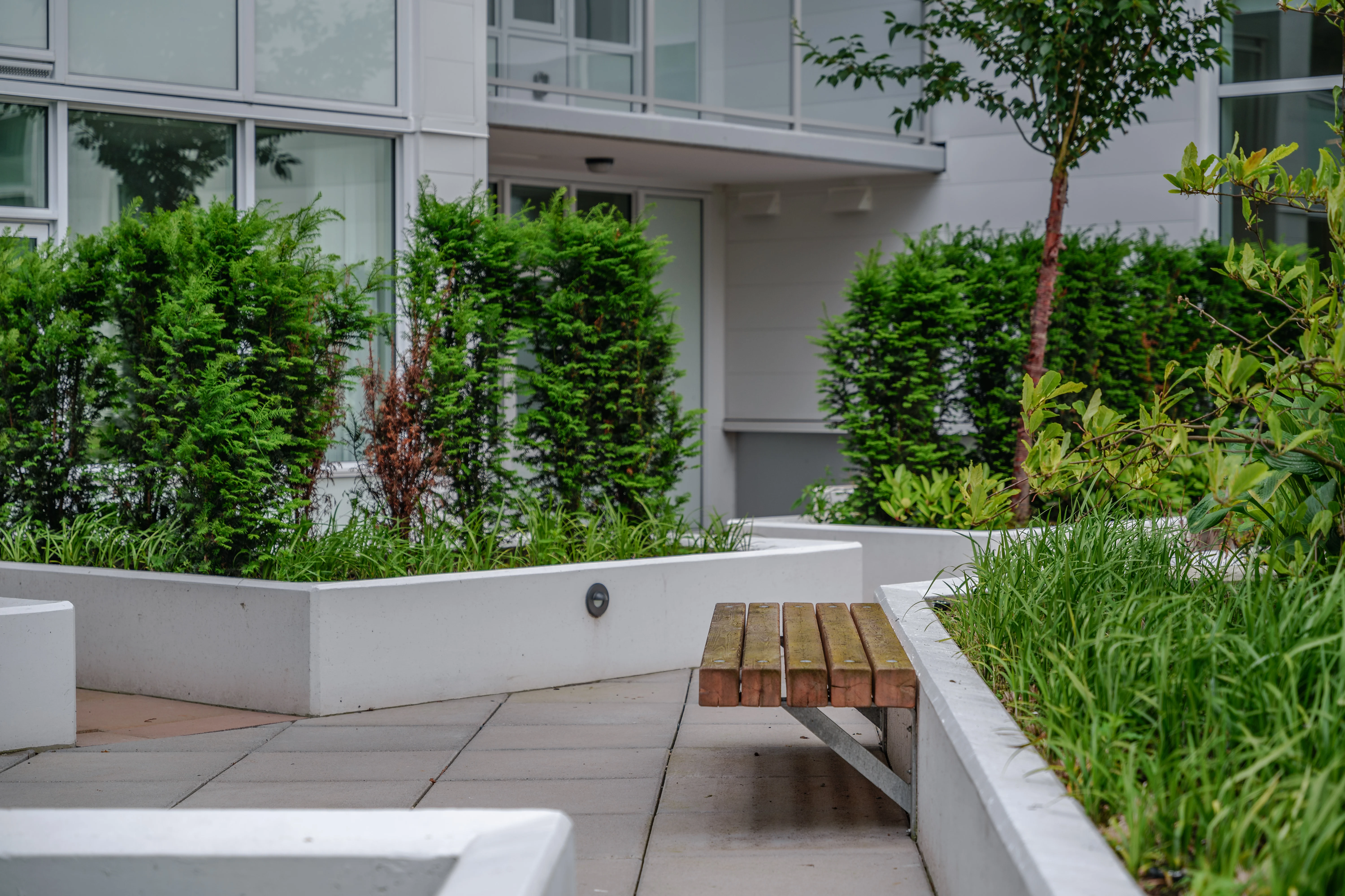 Courtyard planters with hedges and a timber bench at Torino
