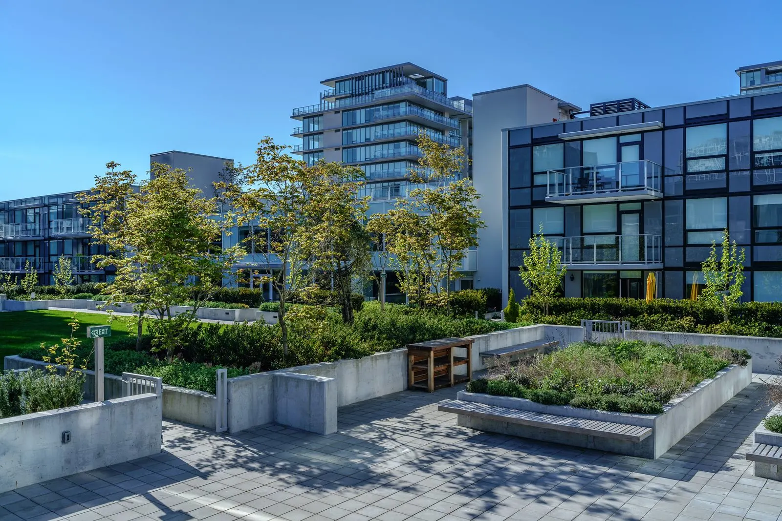 Courtyard planters and young trees between buildings at River Park Place 2
