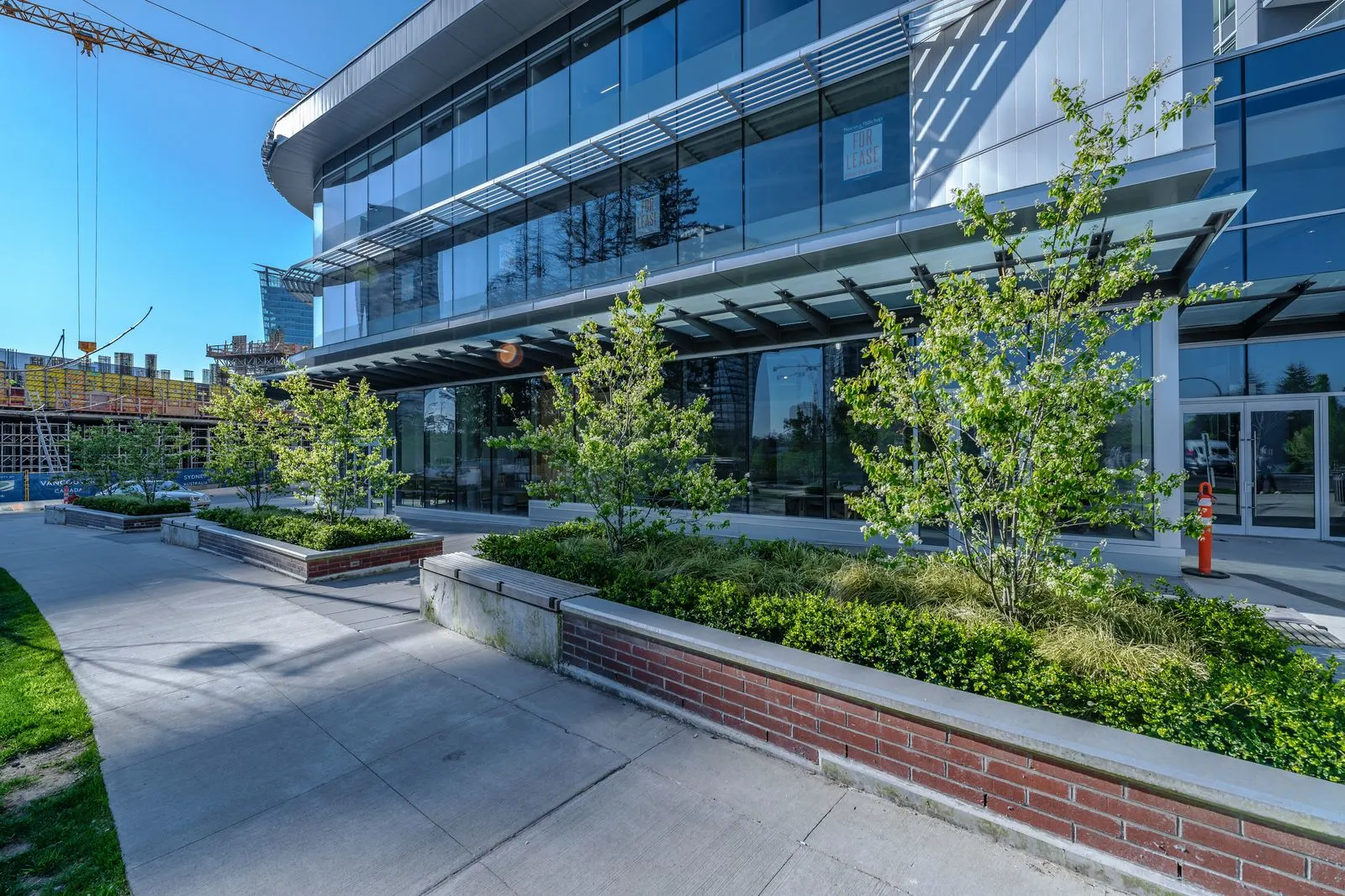 Raised brick planters and young trees along a sidewalk at Evolve