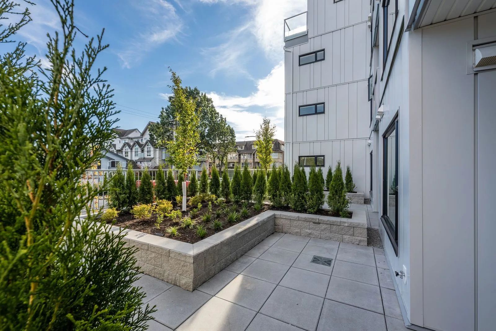 Raised planters with columnar shrubs on a paved terrace at Alba Rindall