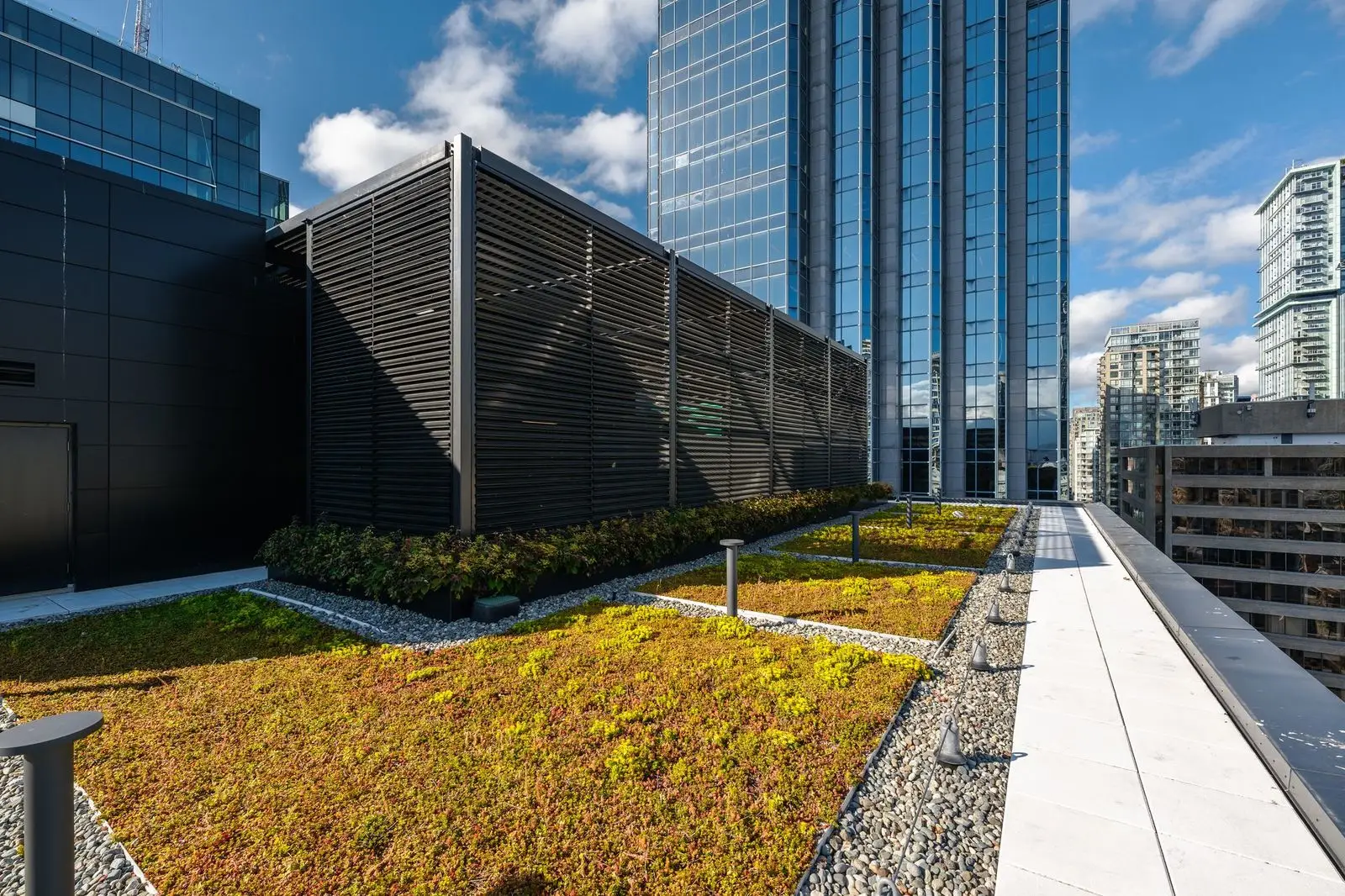 Green roof planting beside a rooftop walkway at Amazon Downtown