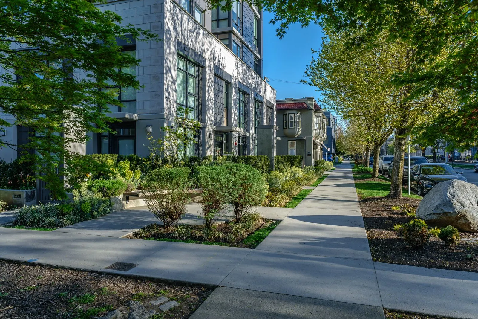 Walkways and planting beds between townhomes and street trees at Eleven West