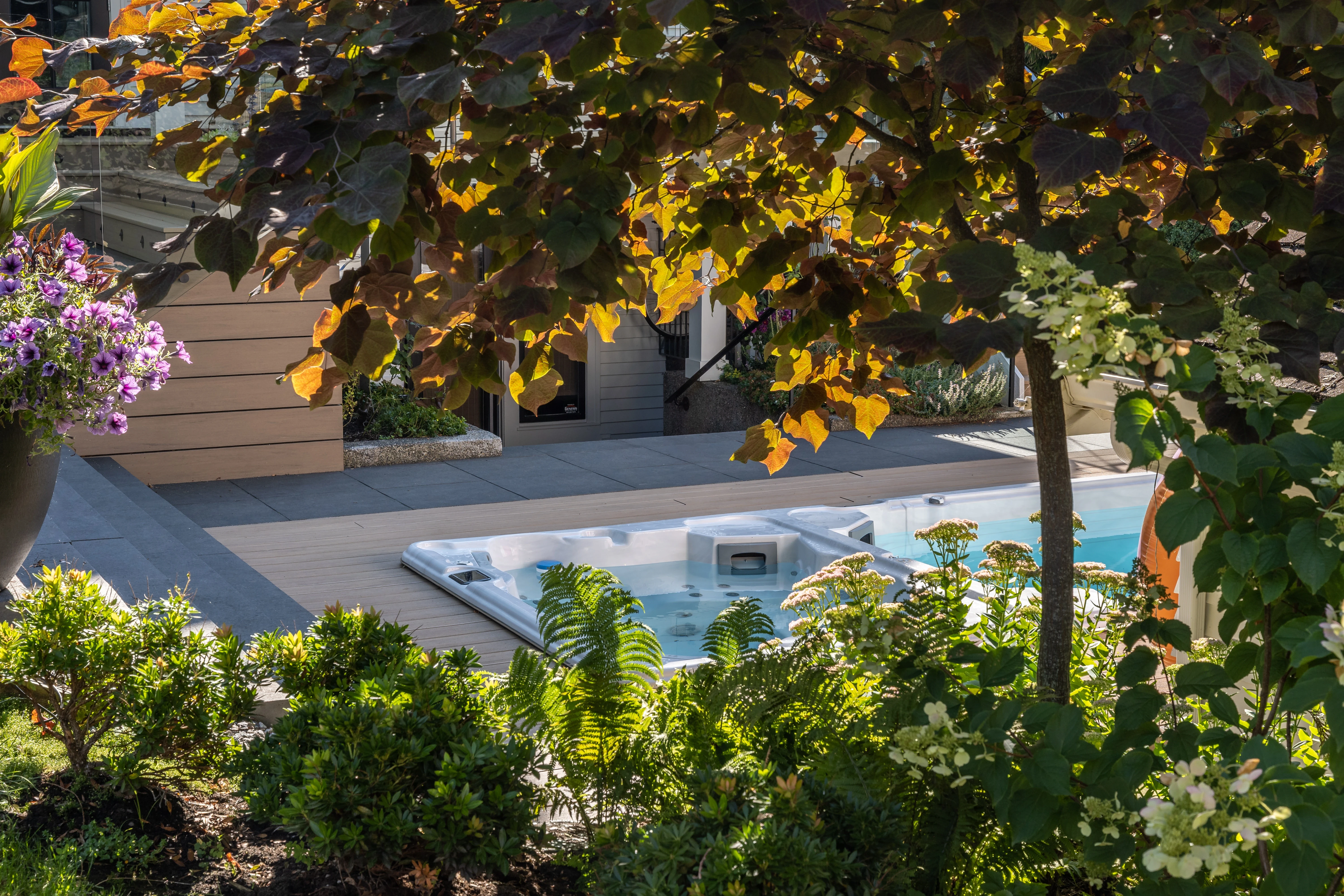 Swim spa framed by shrubs and tree foliage at MacKenzie