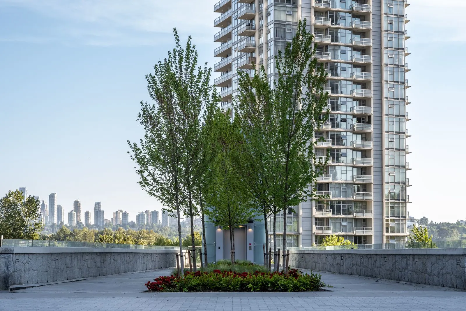 Cluster of trees in a raised planter on a plaza at Brentwood 1A