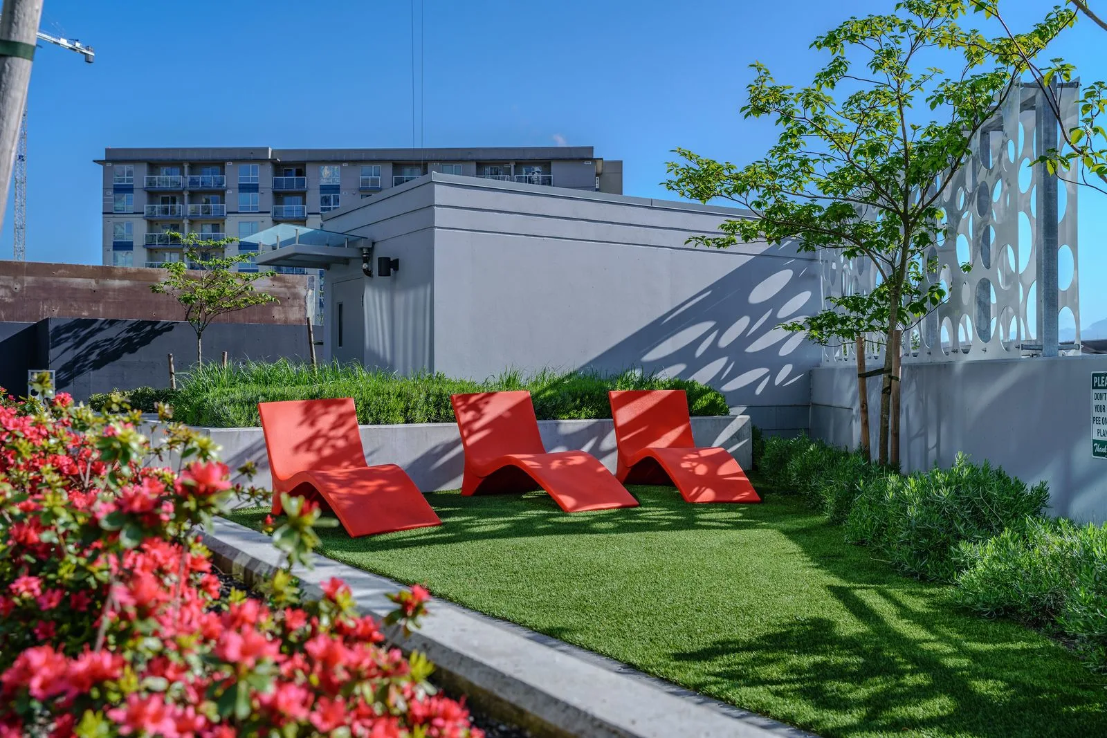 Red lounge chairs on a rooftop lawn with flowering shrubs at Brewery District 6