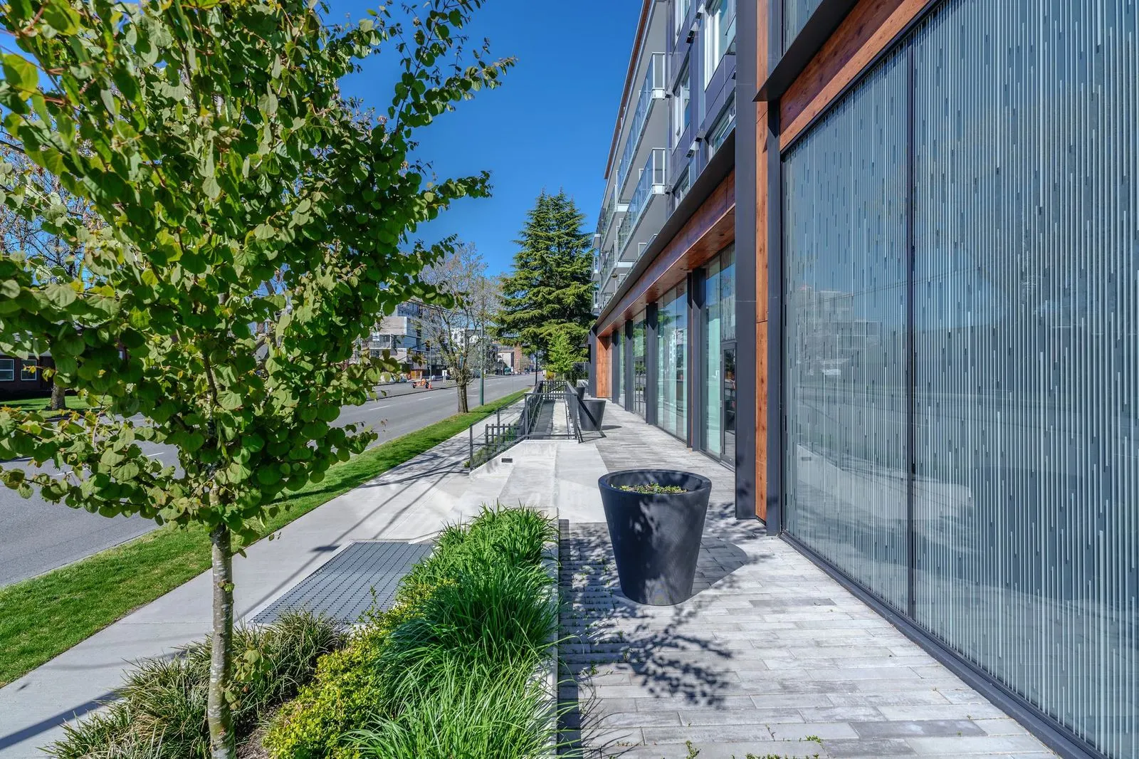 Grass and shrub planting along a building walkway at The Parker