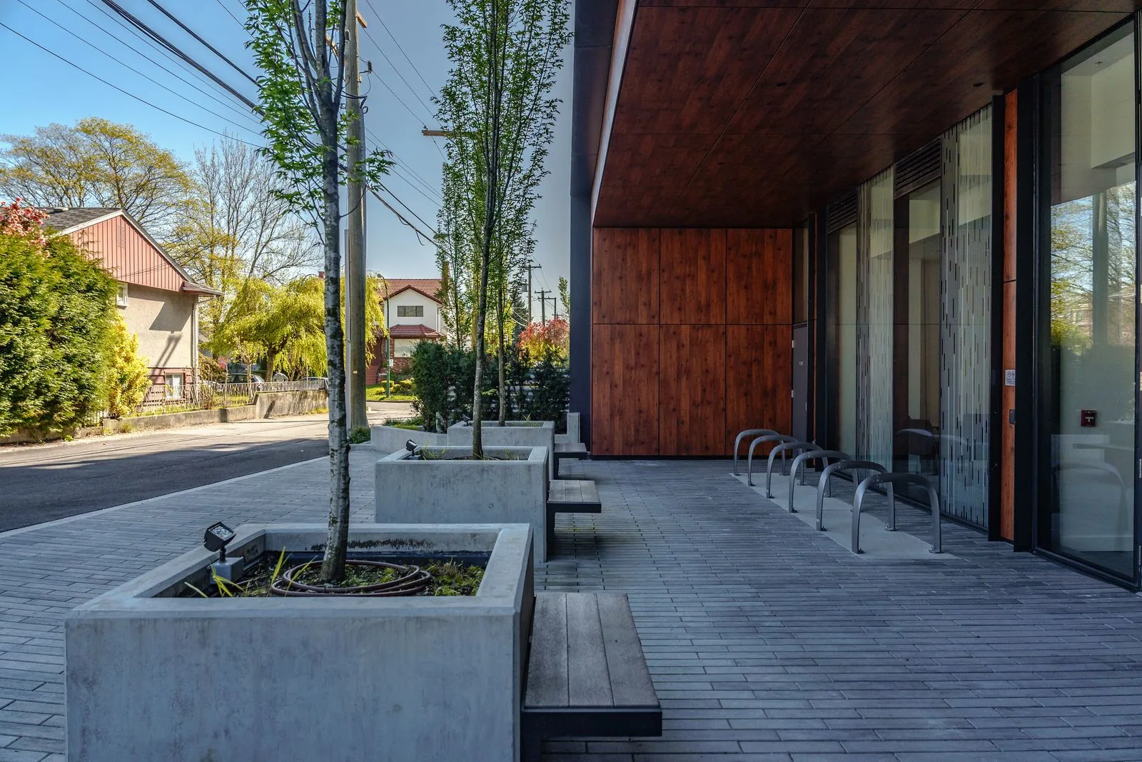 Tree in a concrete planter on a paved plaza at The Parker