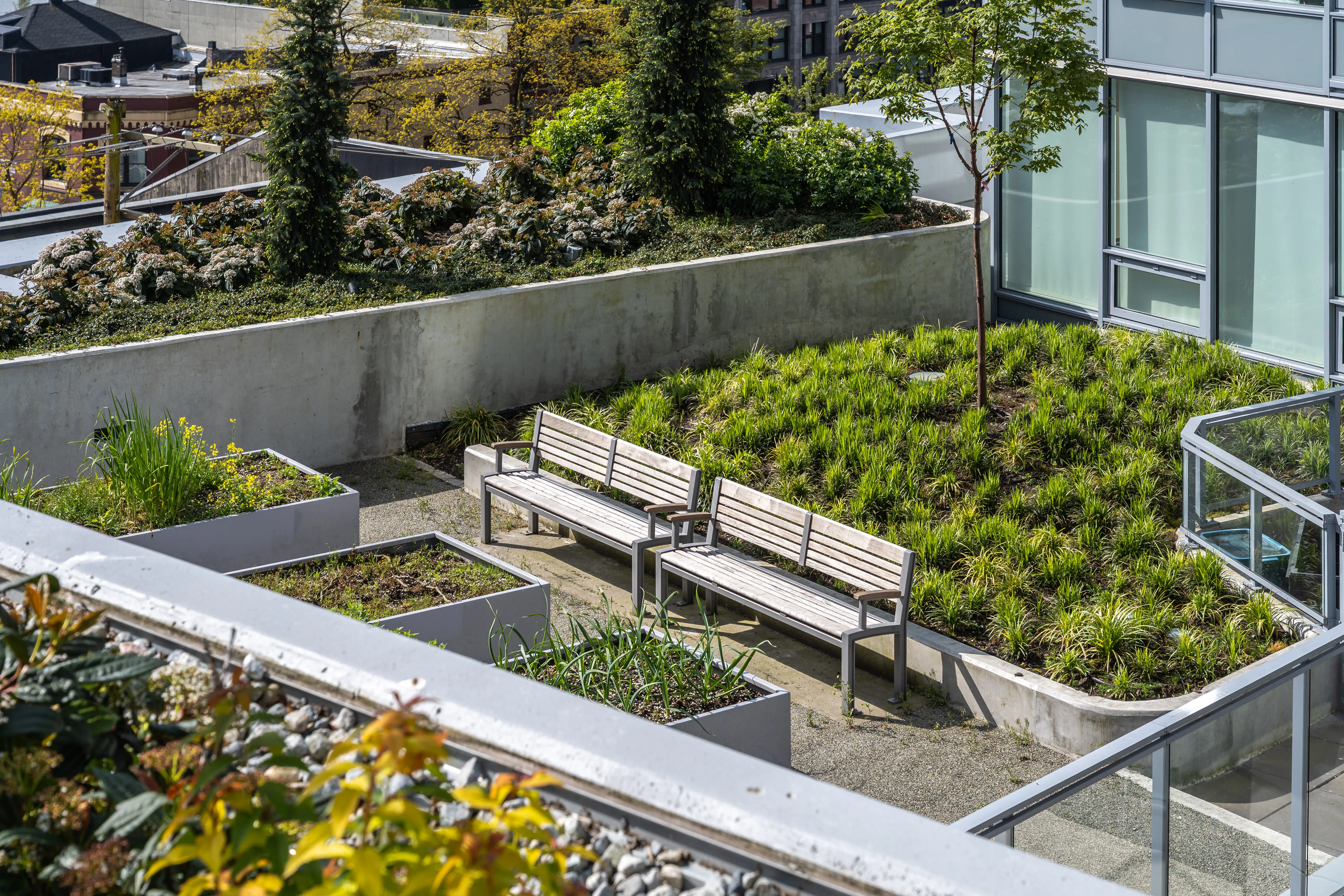 Rooftop planting beds with timber benches at 618 Carnarvon
