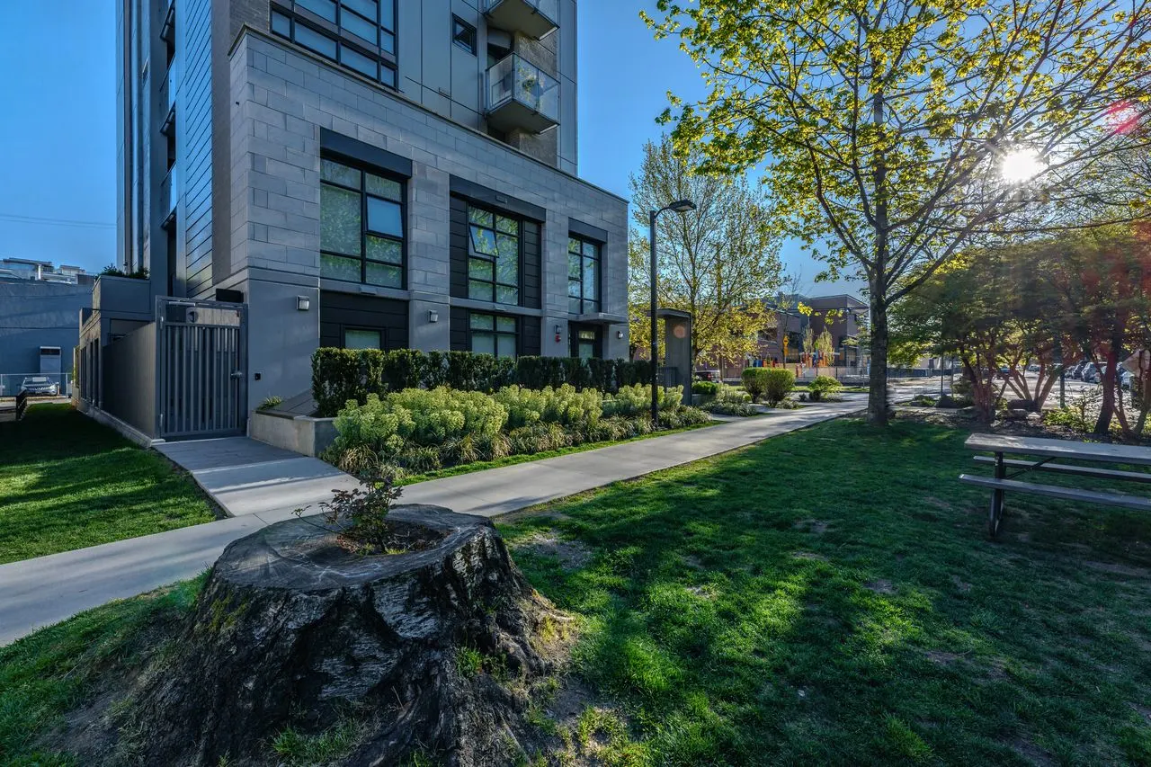 Lawn with a tree stump feature and shrub planting at Eleven West