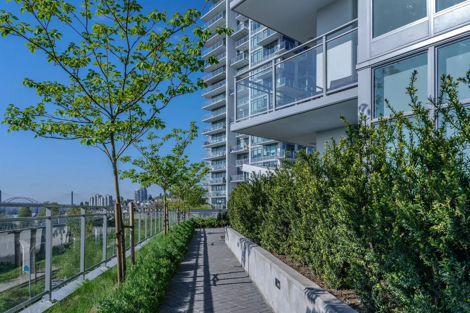 Narrow rooftop walkway between planters and a young tree at Brewery District 6