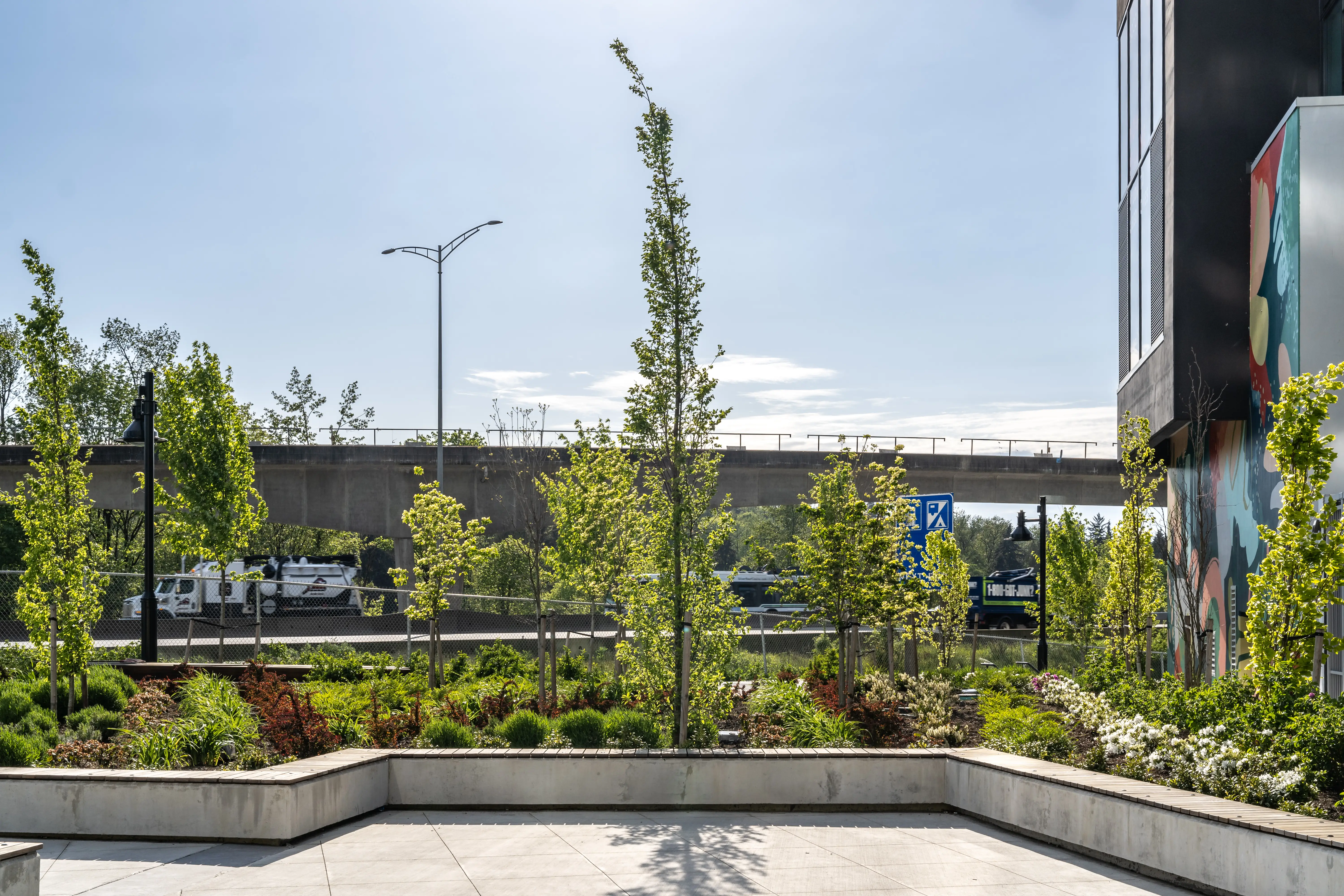 Young tree in a planted bed on a rooftop terrace at Soco