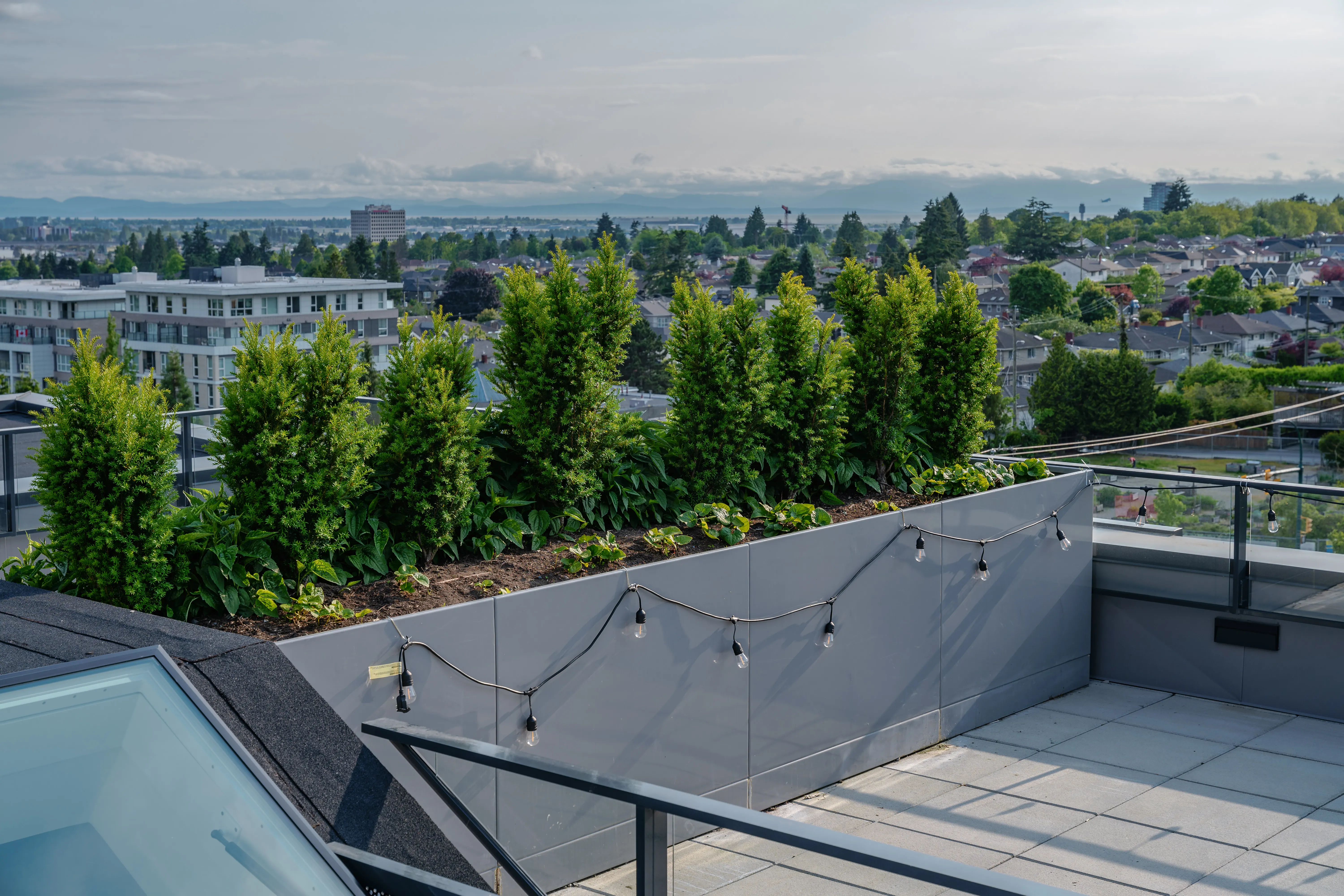 Rooftop hedge planters with string lights and city views at Parkhouse