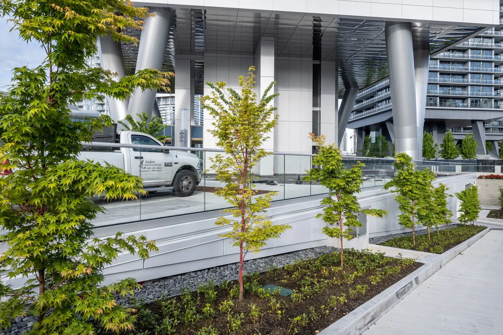 Young trees in planting beds beneath a tower at Brentwood 1B