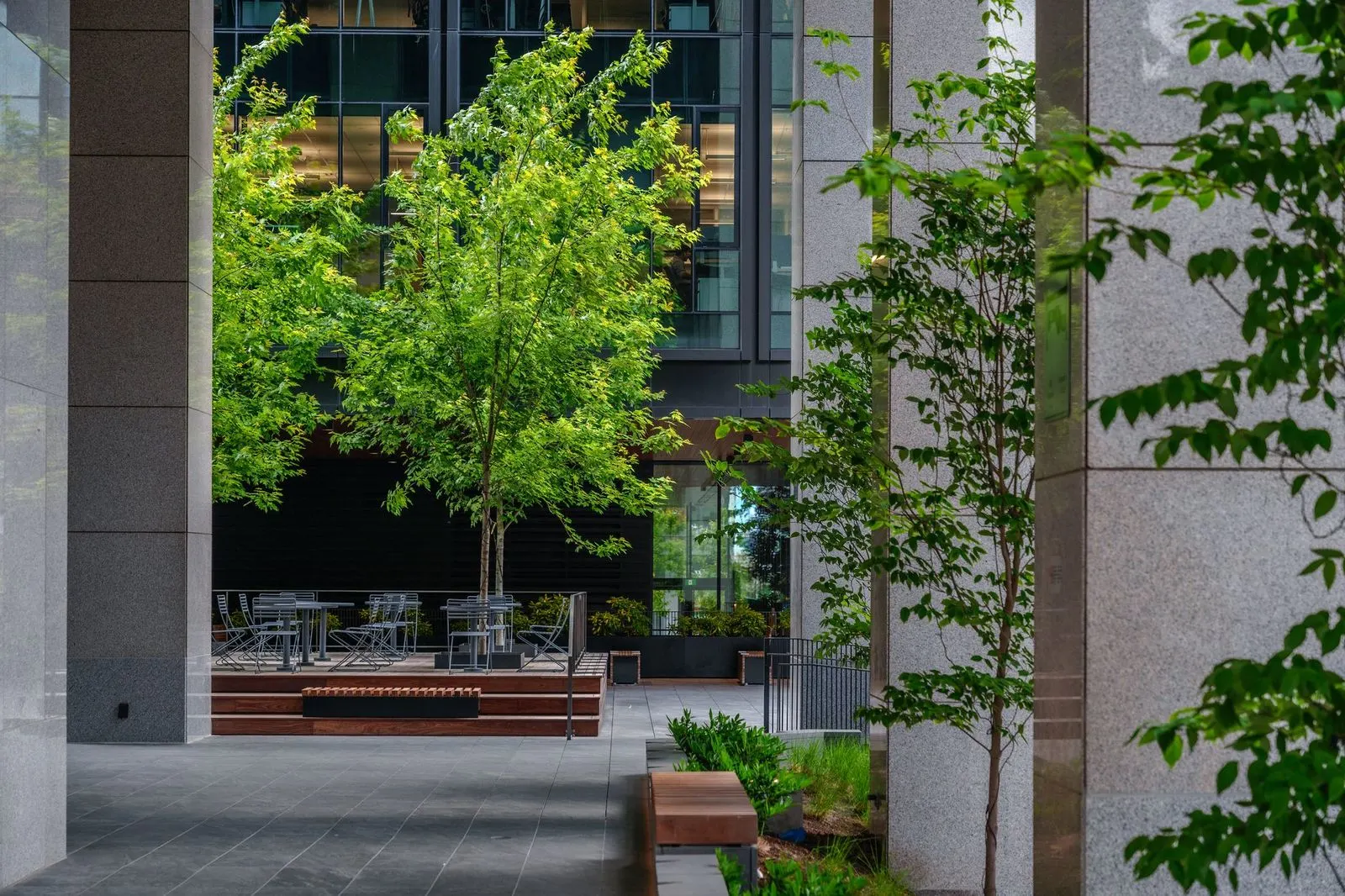 Trees and planters in a covered courtyard at Amazon Downtown