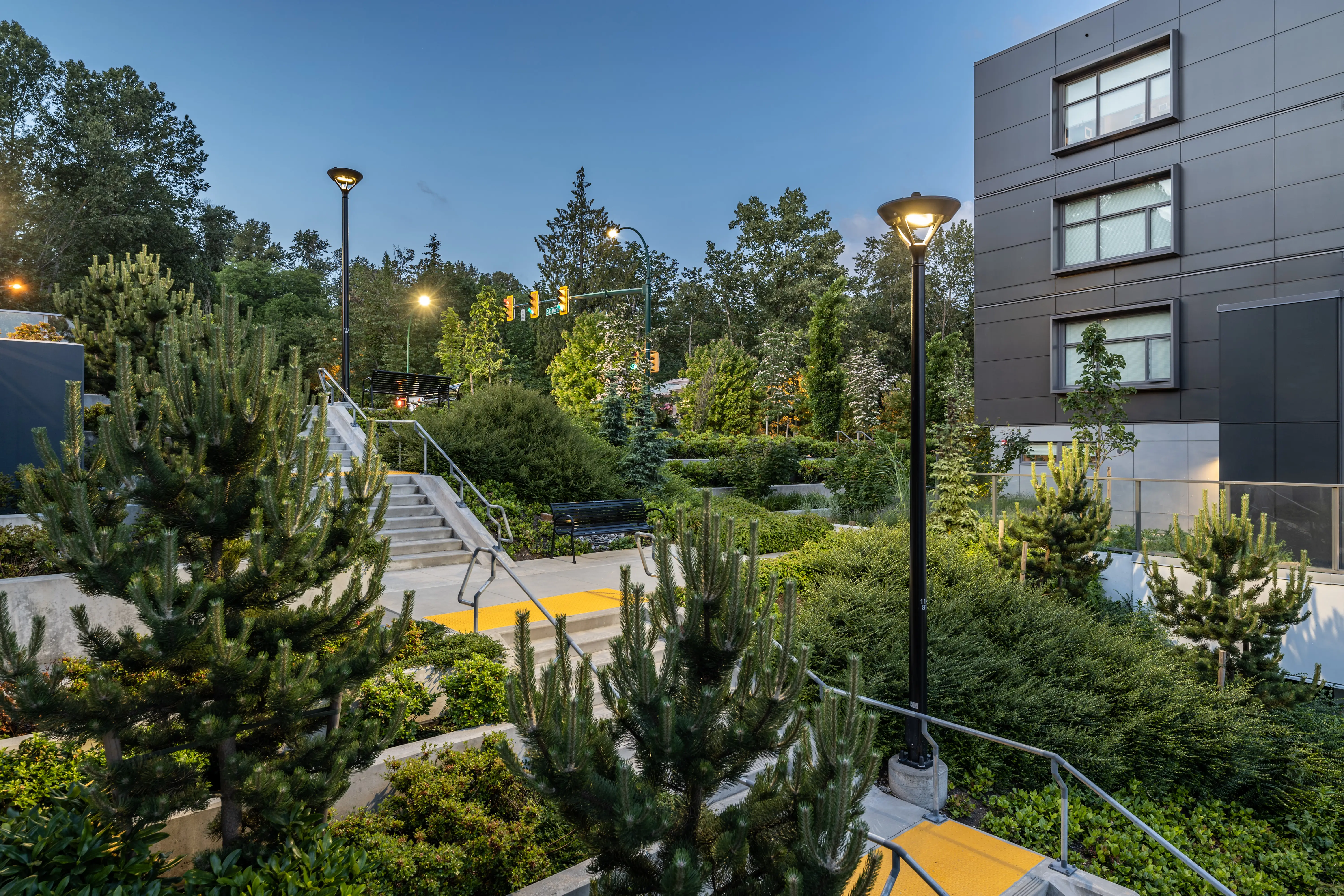 Lit pathway through evergreen planting beside a building at dusk at Kinship