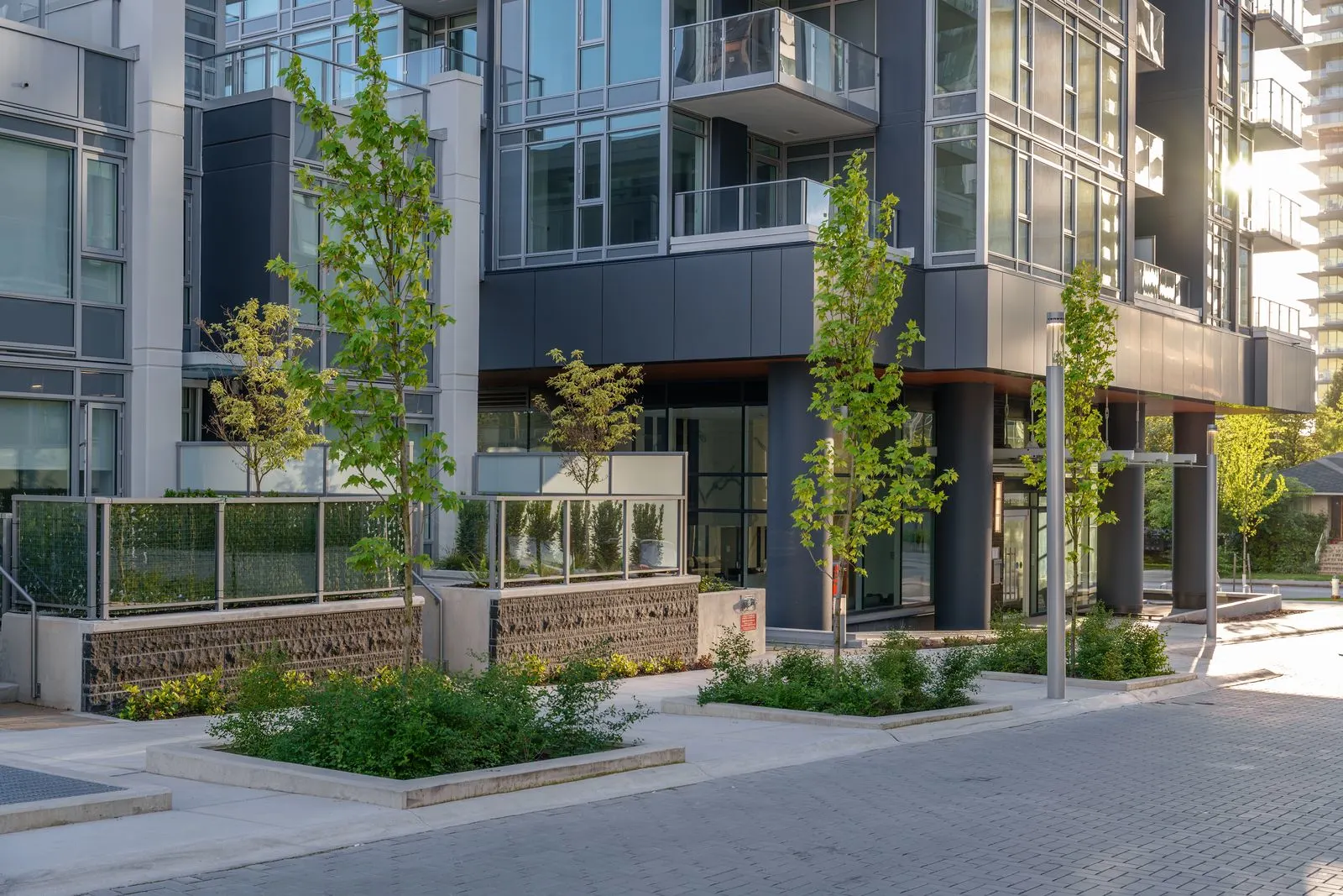 Young trees and planting beside a paved plaza at Sun Tower II