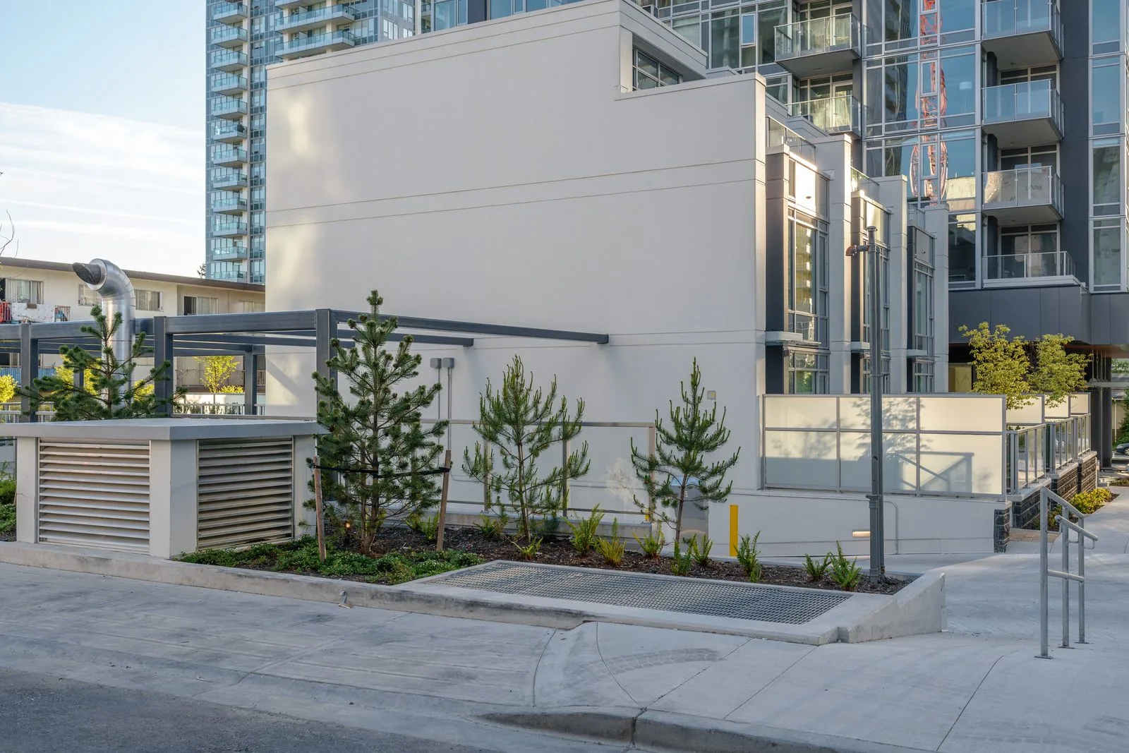 Evergreen and shrub planting along a building frontage at Sun Tower II