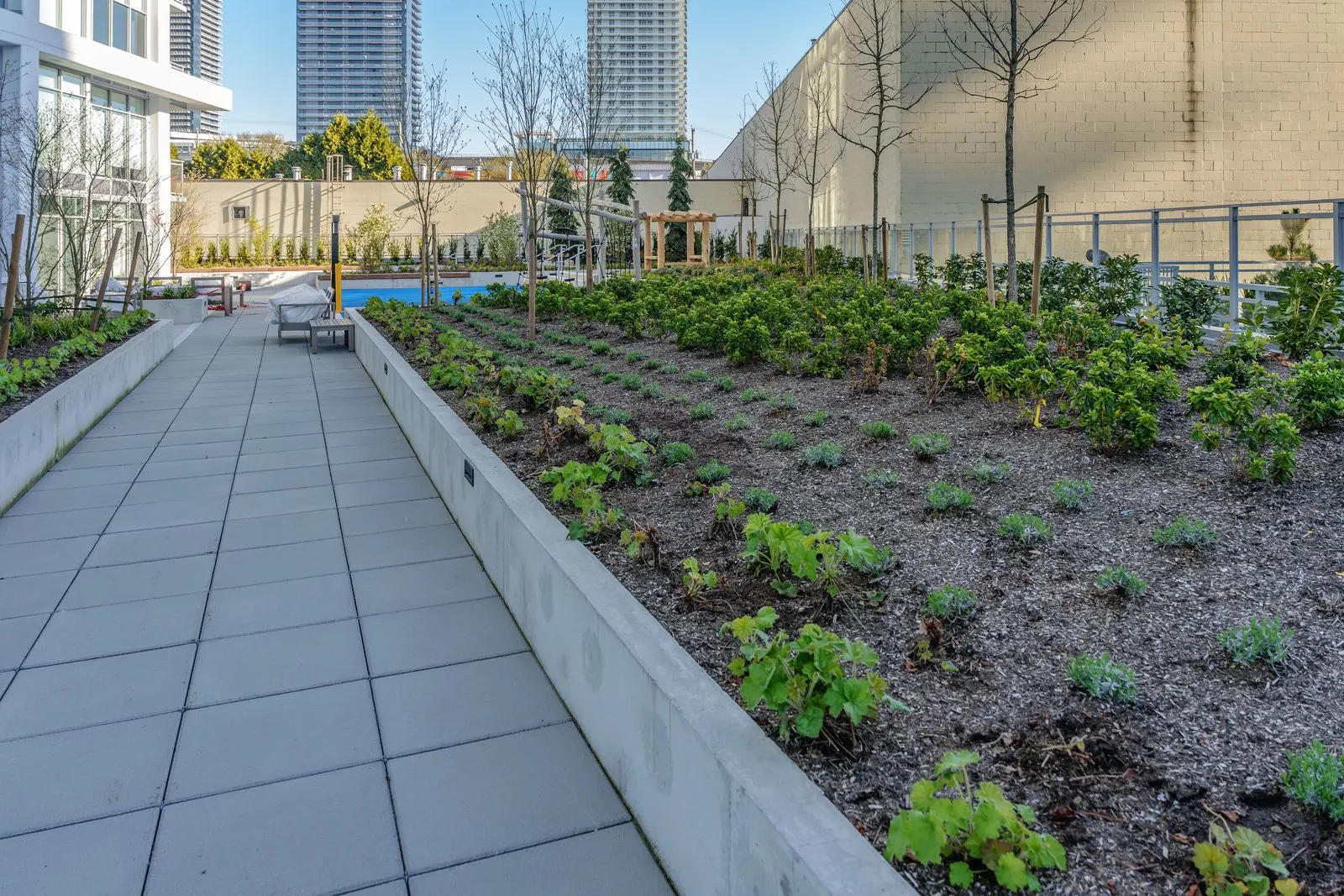 Paver path beside newly planted beds at Alpha Lumina