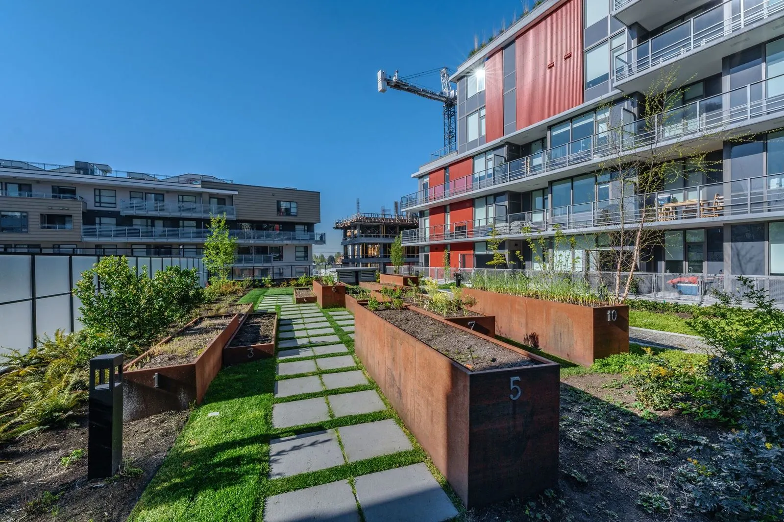 Weathering steel planters and stepping path through lawn at Quartet