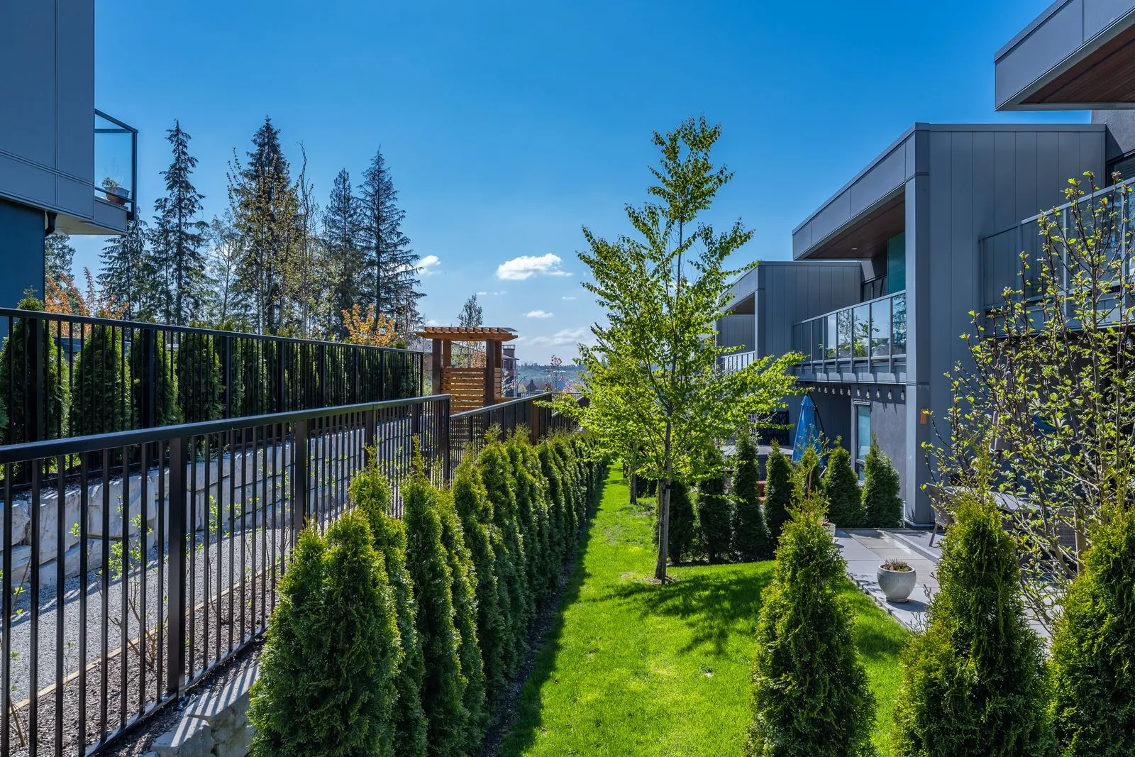 Columnar evergreens and lawn along a fence at Seymour Village Amenity Park