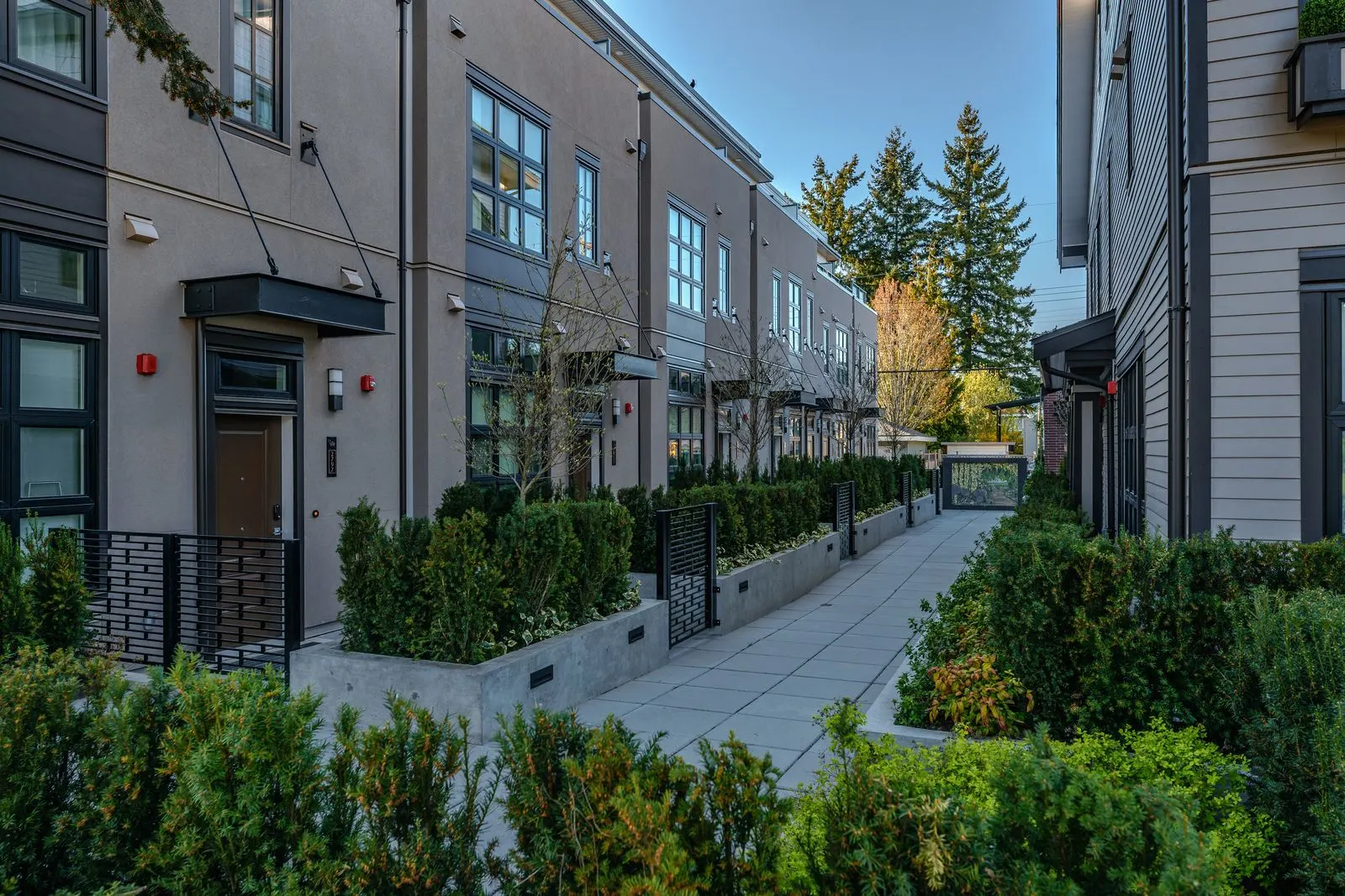 Walkway with hedges and shrub planting along townhomes at Westbury Townhomes