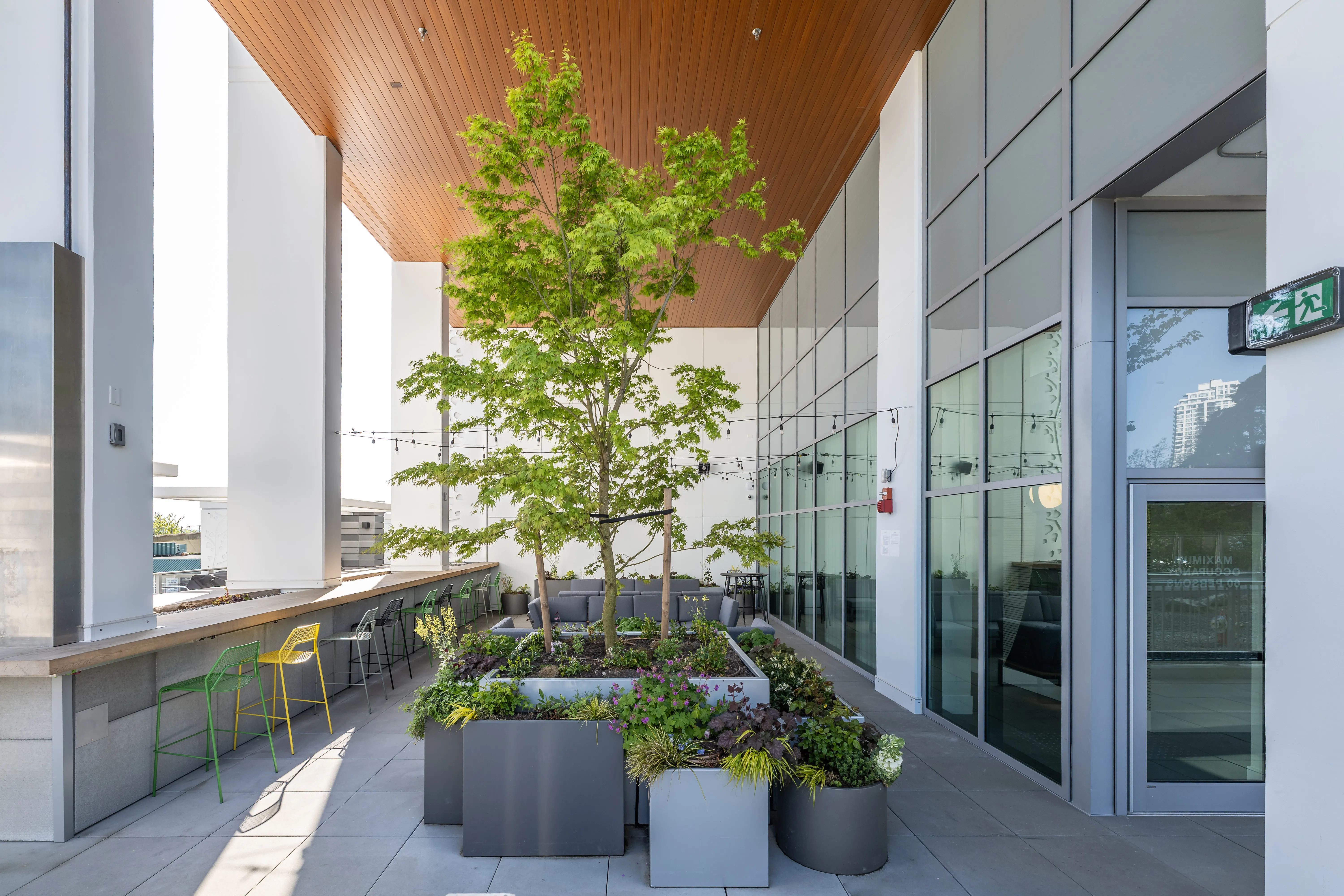 Covered terrace with planters, a tree and counter seating at Meridian