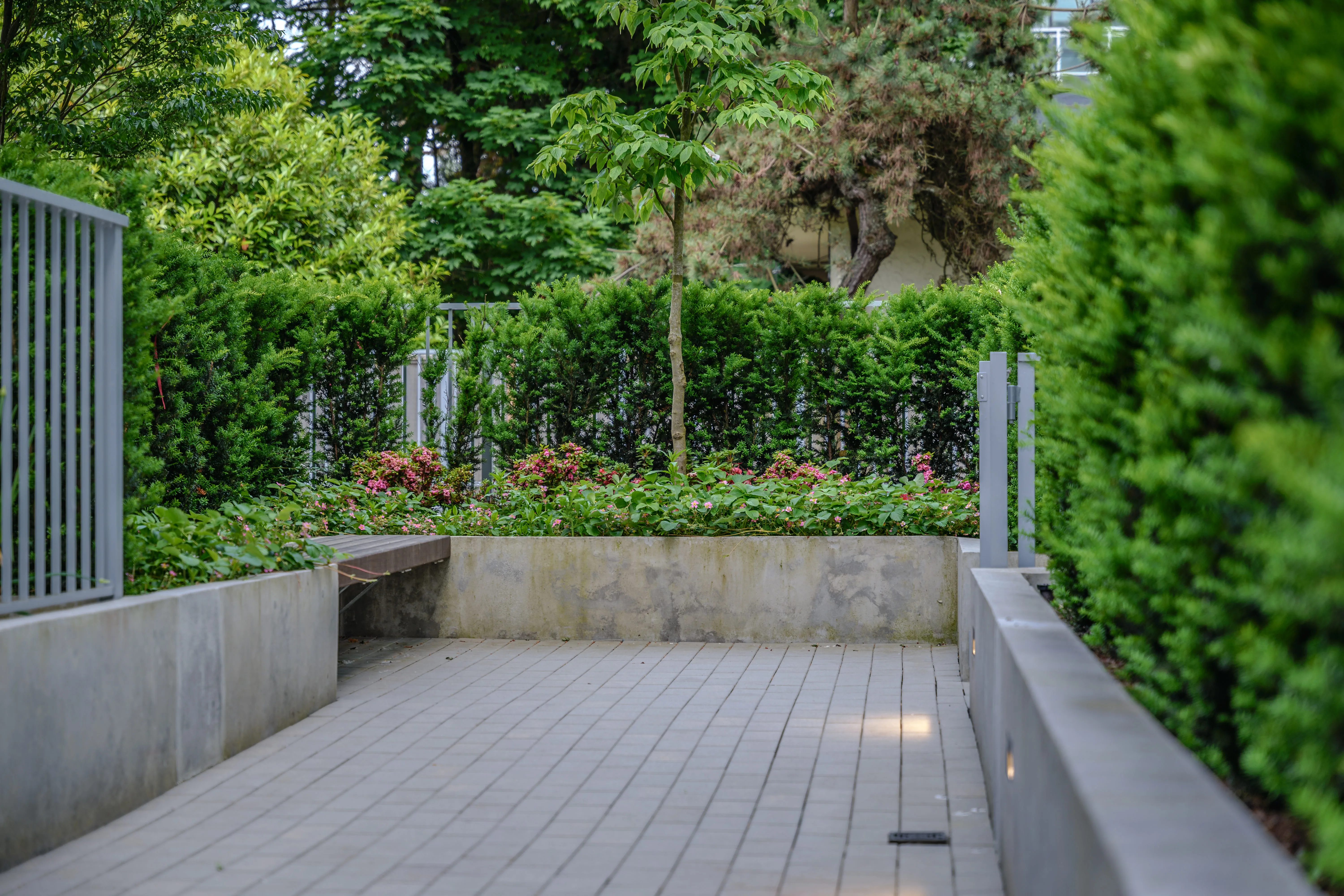 Paved patio enclosed by hedges and a concrete planter at Basalt