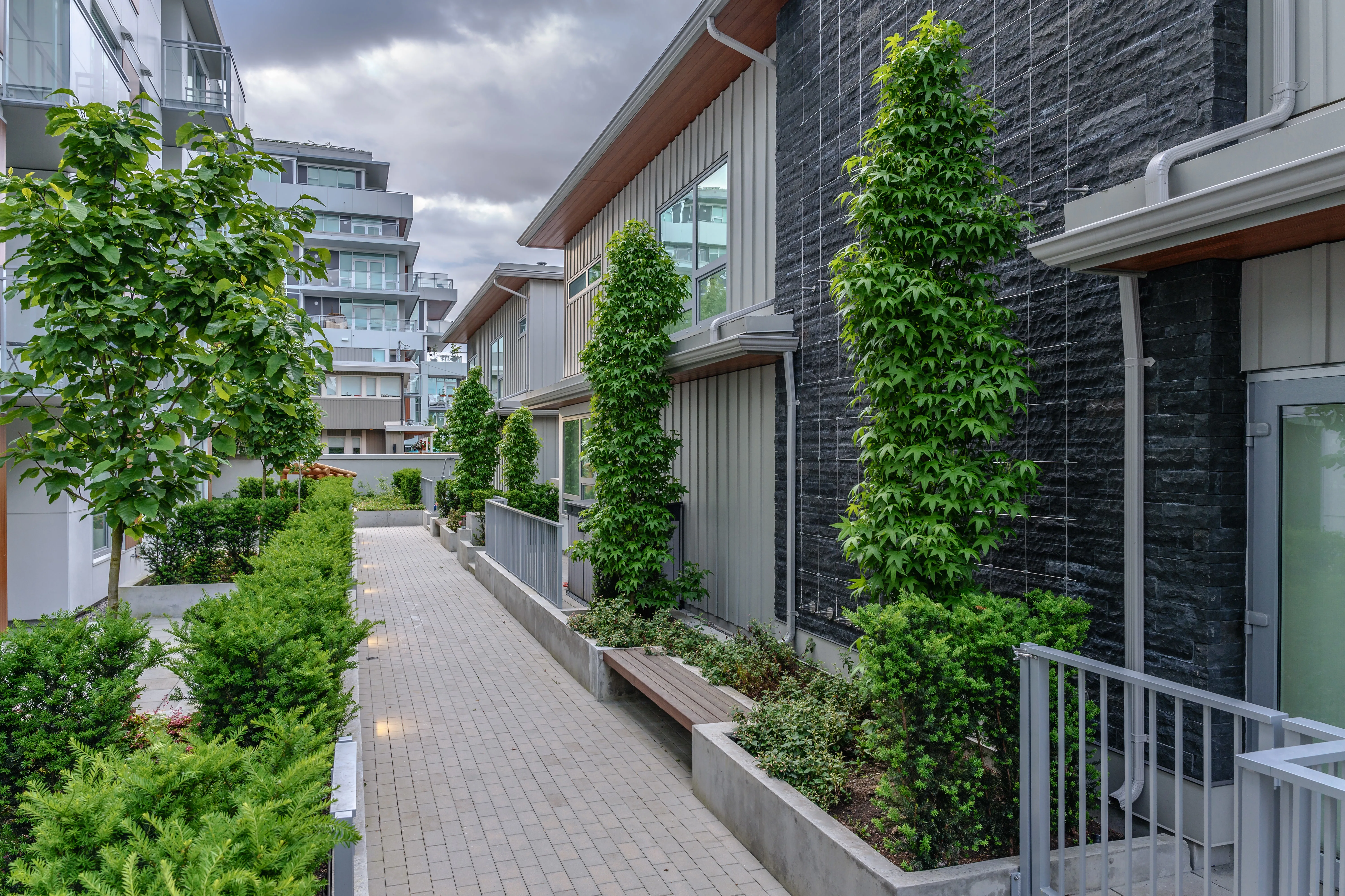 Walkway lined with planters and climbing vines between buildings at Basalt
