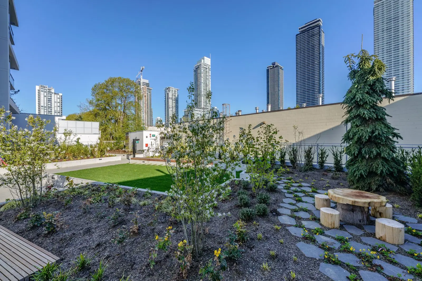 Planting beds, stepping stones and timber seating in a courtyard at Alpha Lumina