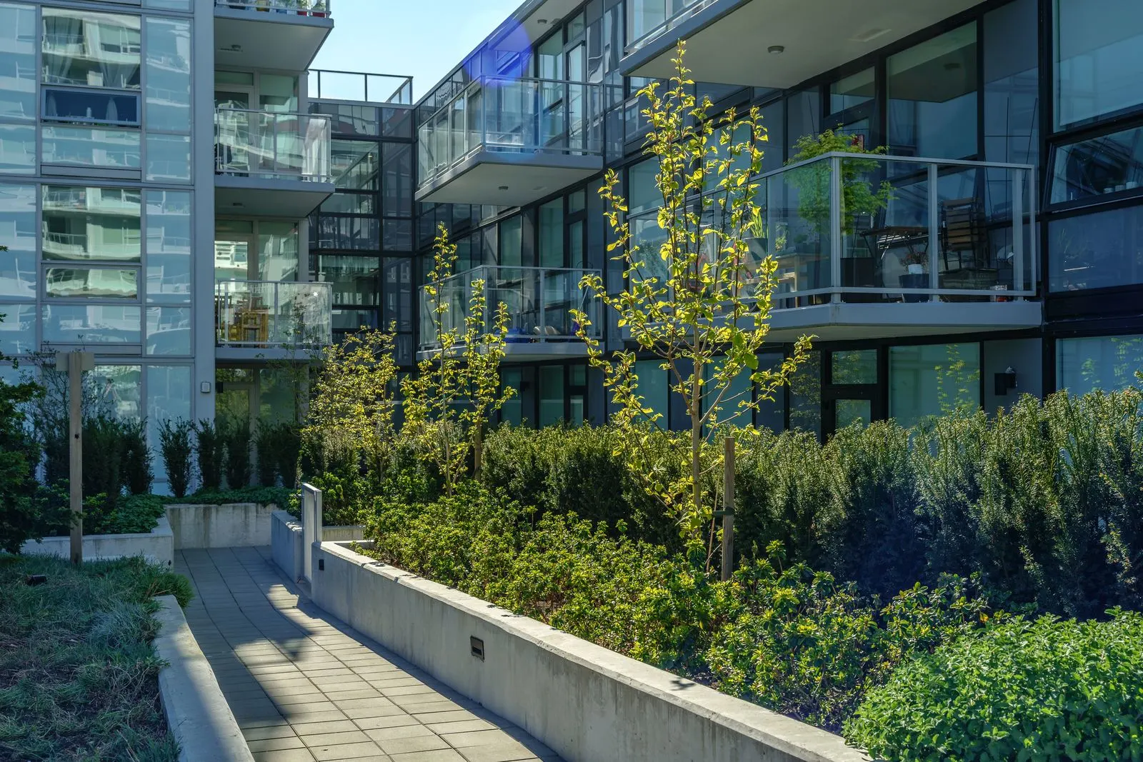 Walkway with raised planters and young trees at River Park Place 2