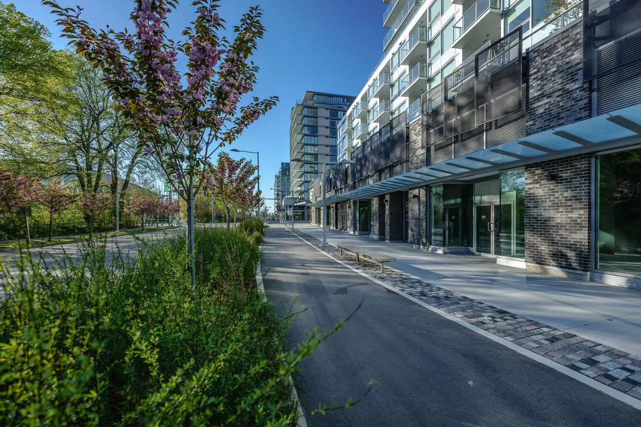 Flowering tree and grass planting along a street at River Park Place 2