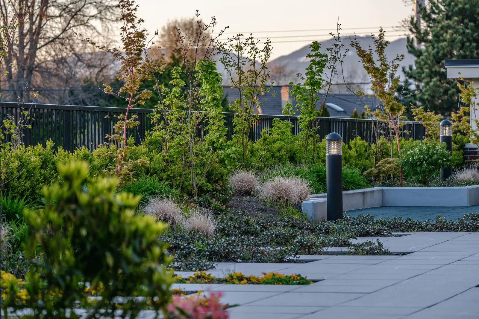 Courtyard planting with light bollards and evergreens at Spark