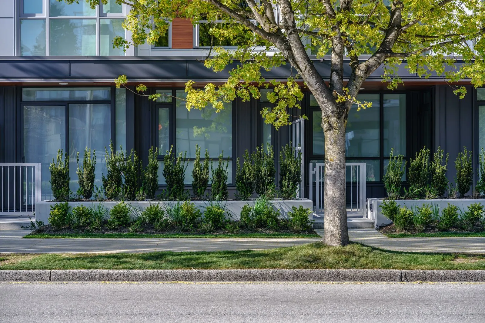 Street tree and shrub planting along a building frontage at Marquise