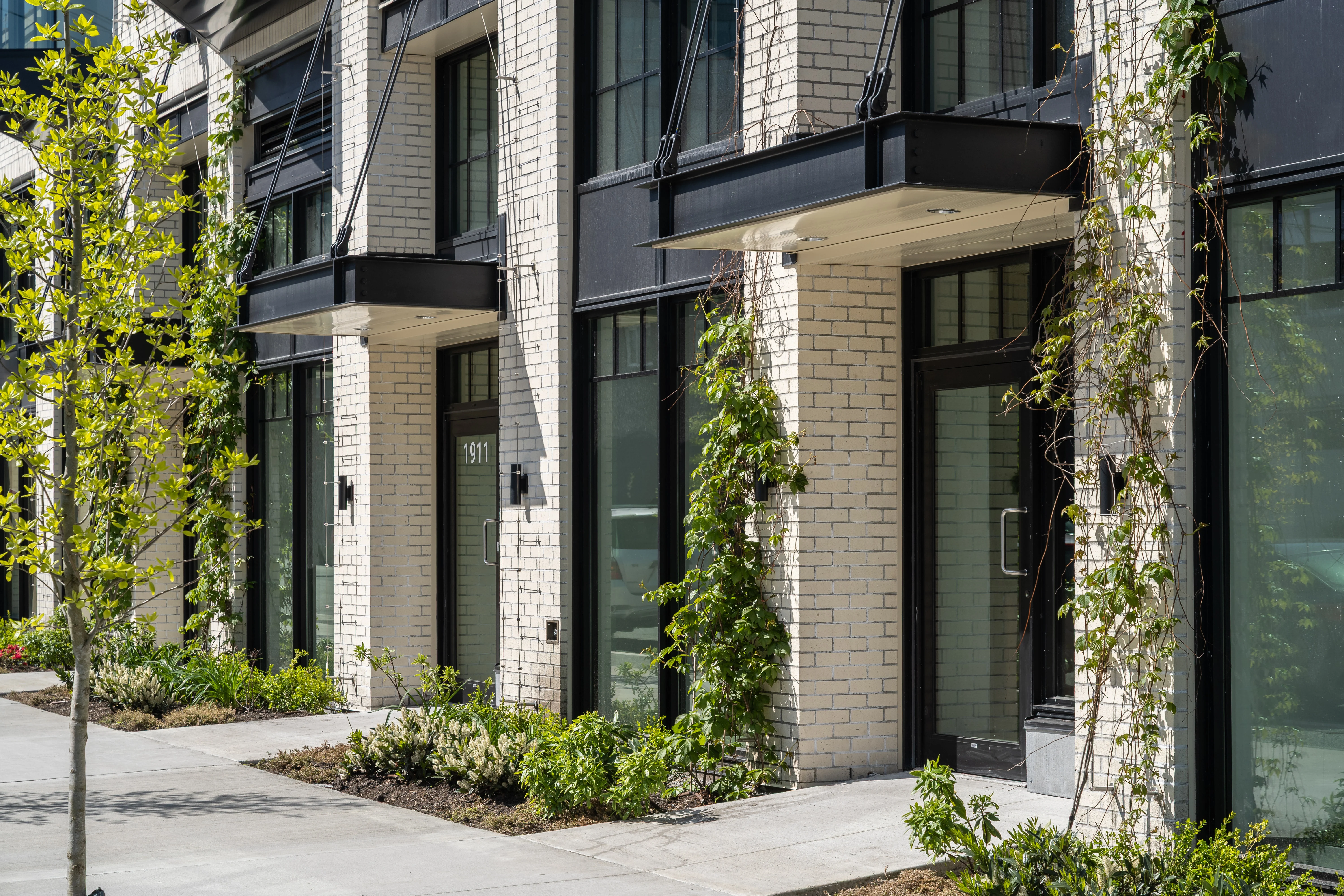 Climbing vines on trellises along a white brick facade at Ofisworks