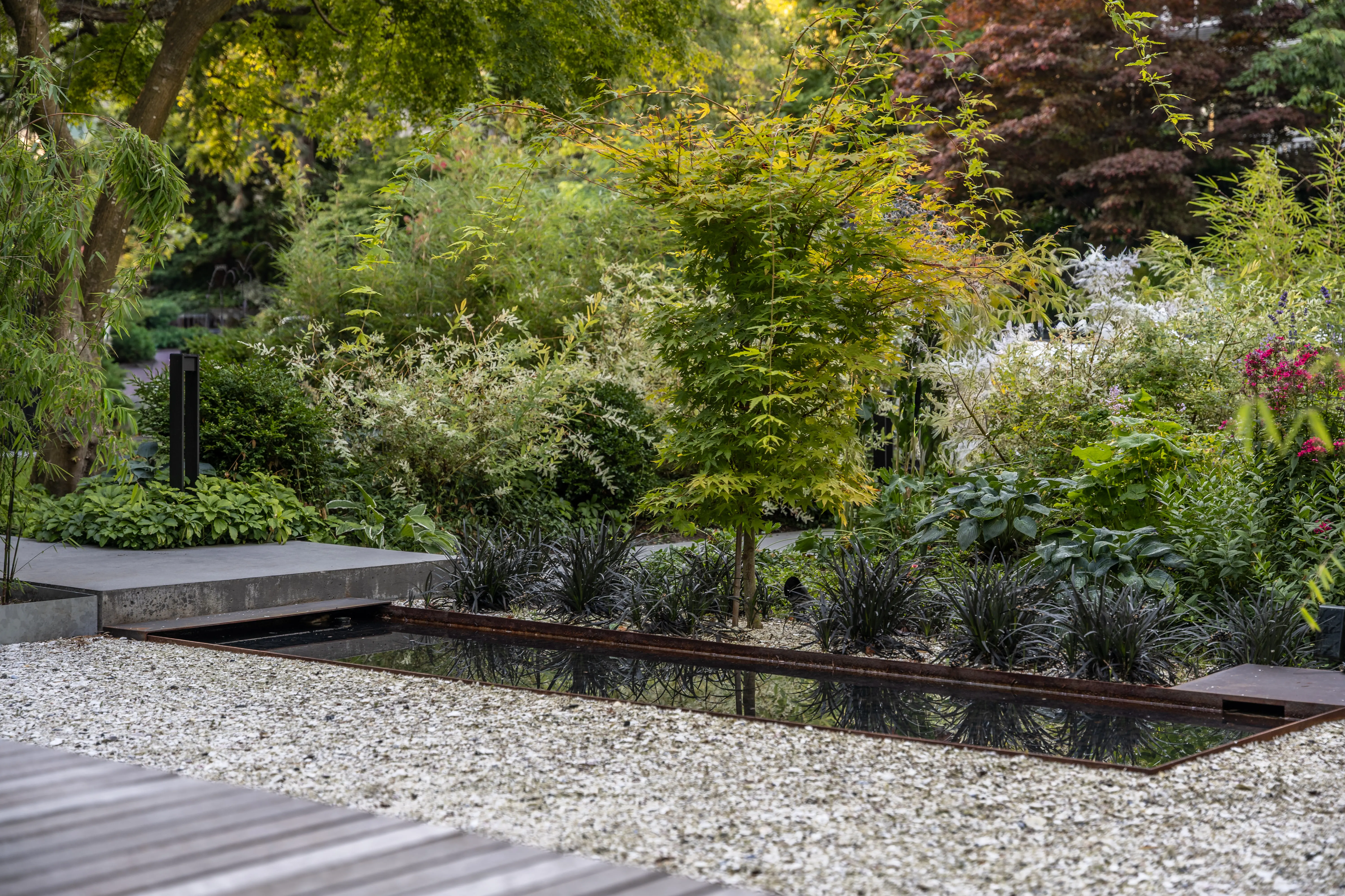 Linear water feature beside gravel and layered planting at West 1st