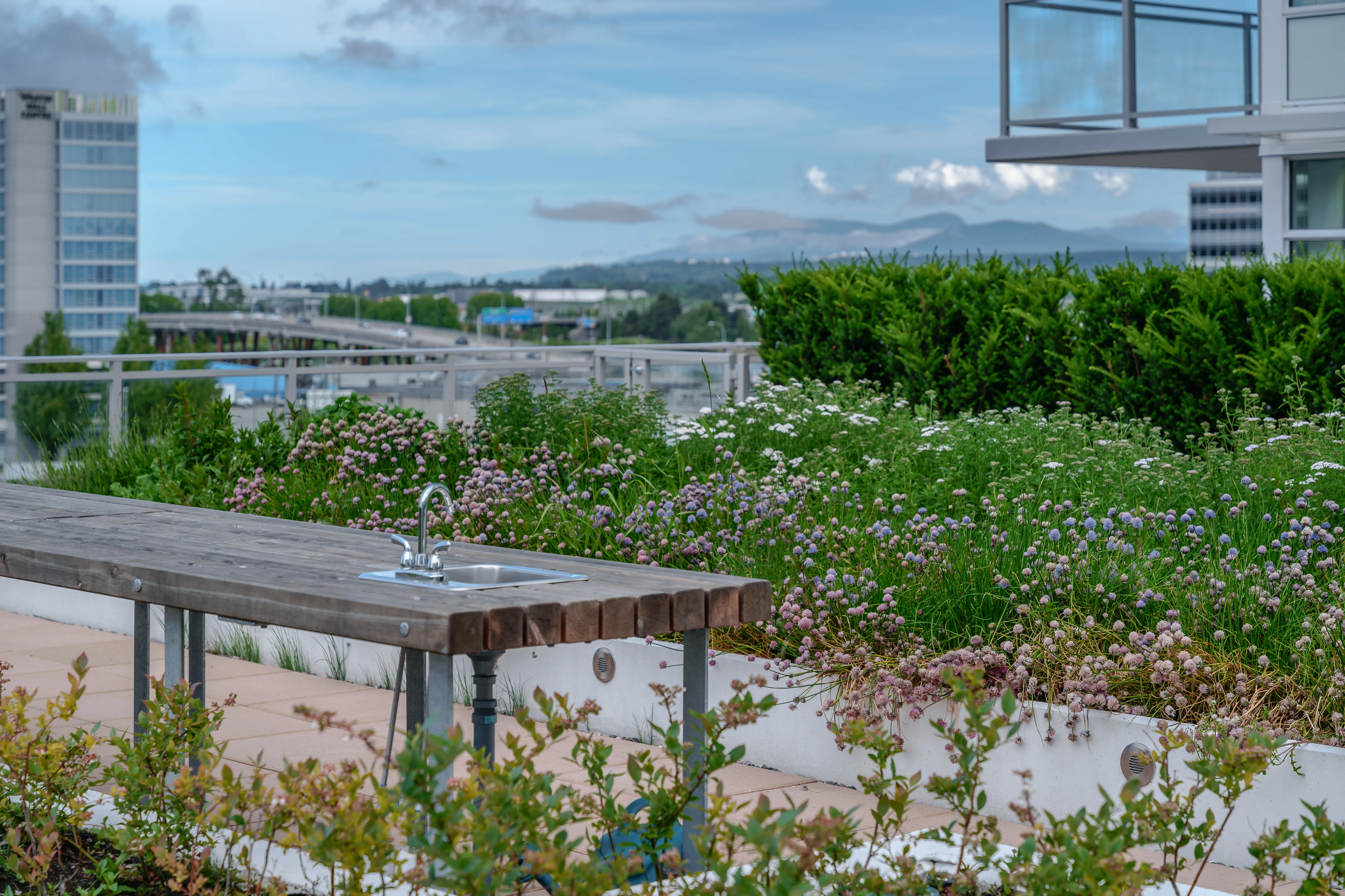 Rooftop table among flowering planting with mountain views at Torino
