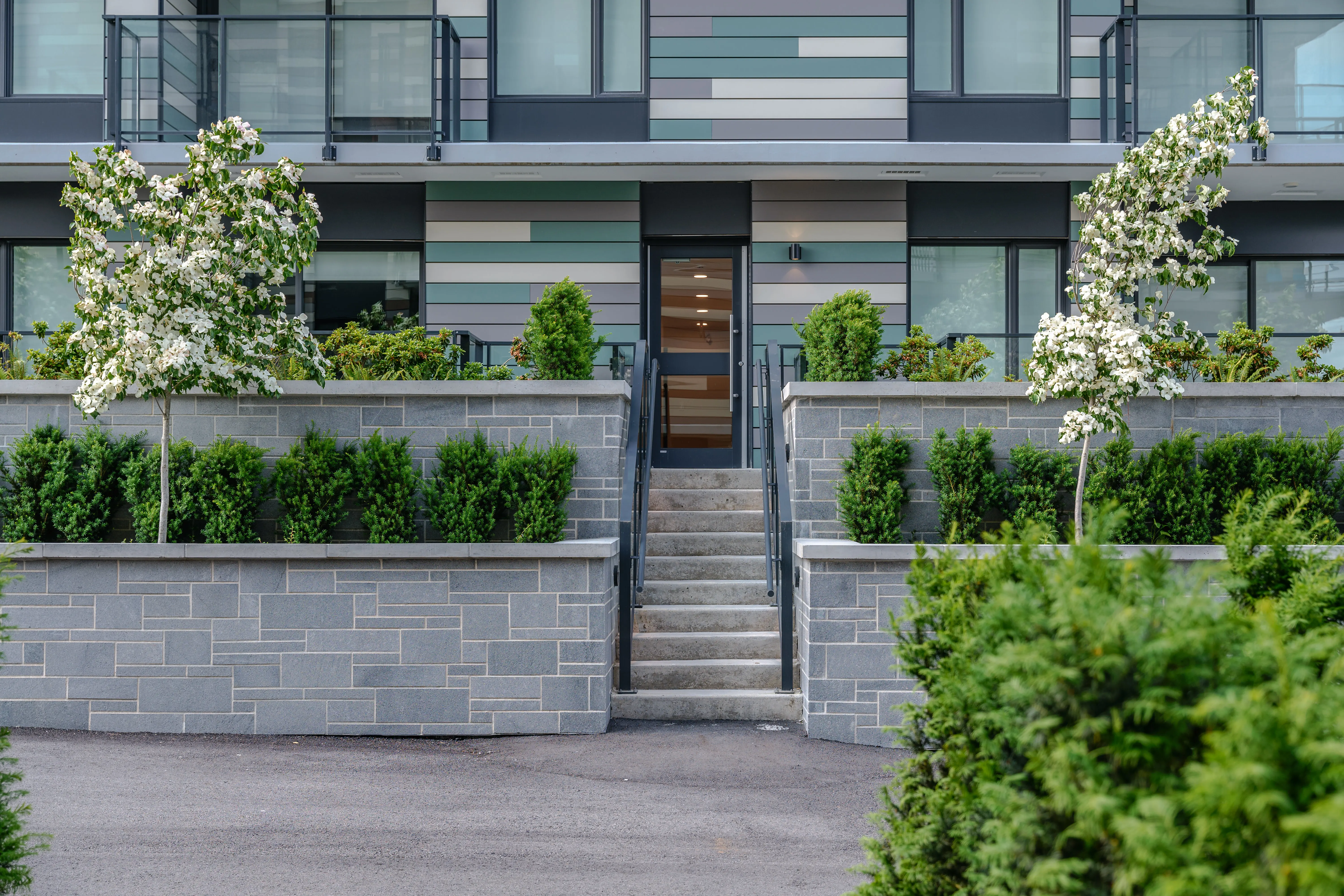 Entry stairs flanked by raised planters with flowering trees at Parkhouse