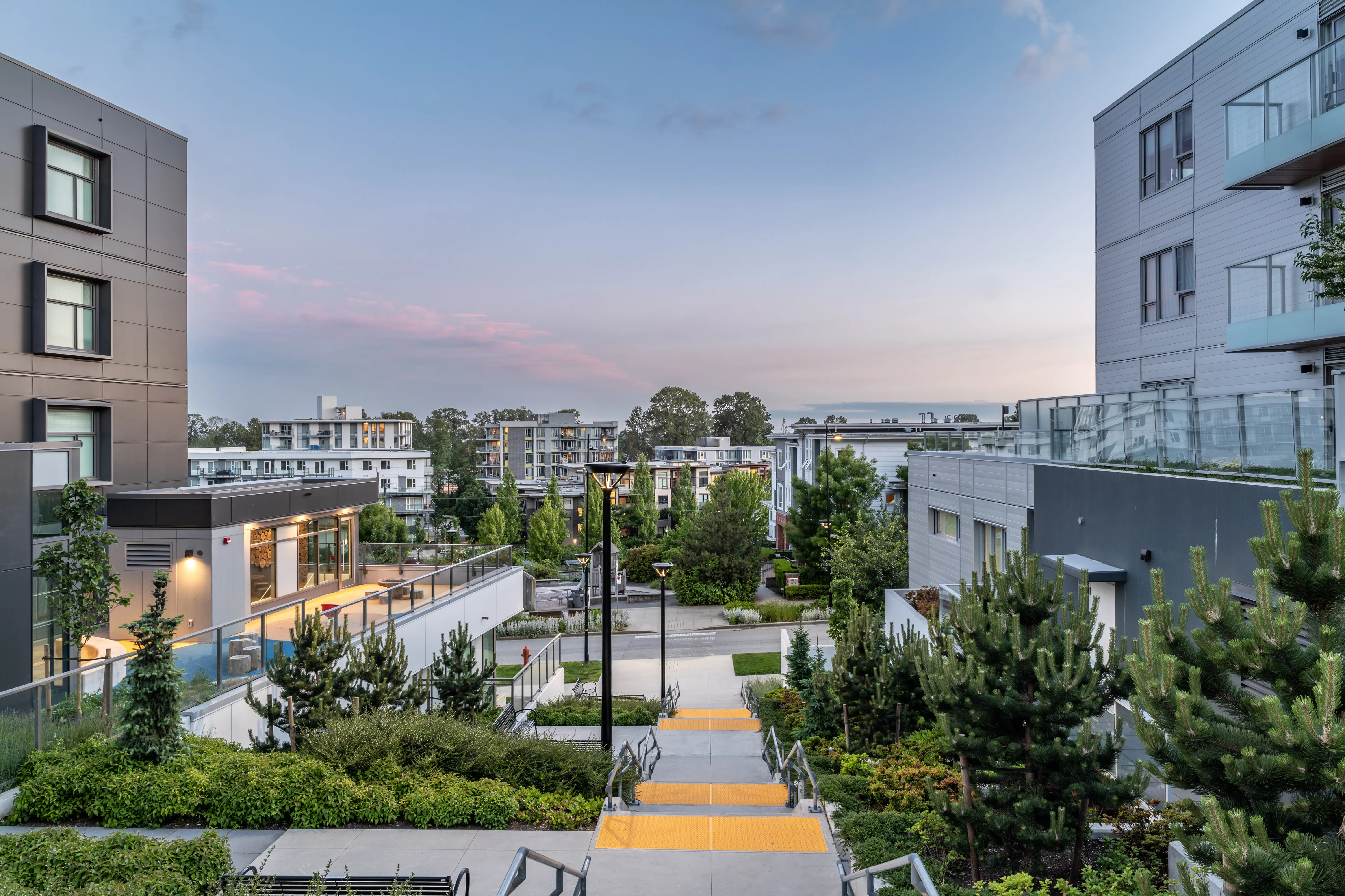 Stepped pathway through planting between buildings at dusk at Kinship