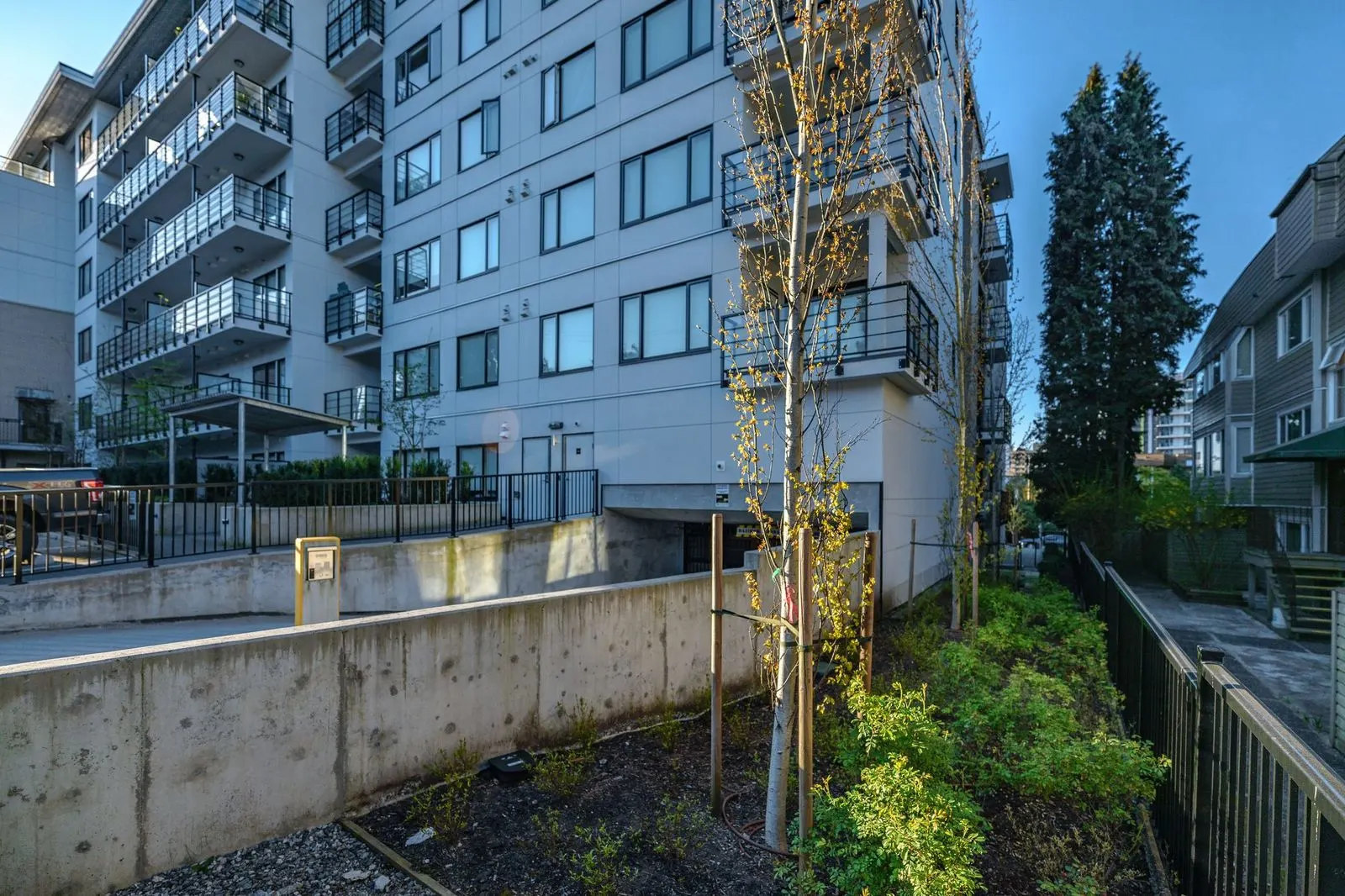 Driveway retaining wall with trees and planting at The Saint George