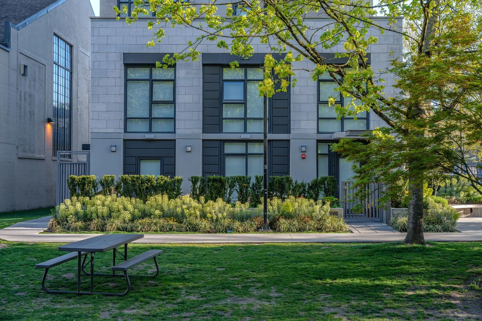 Lawn with a picnic table in front of townhomes at Eleven West