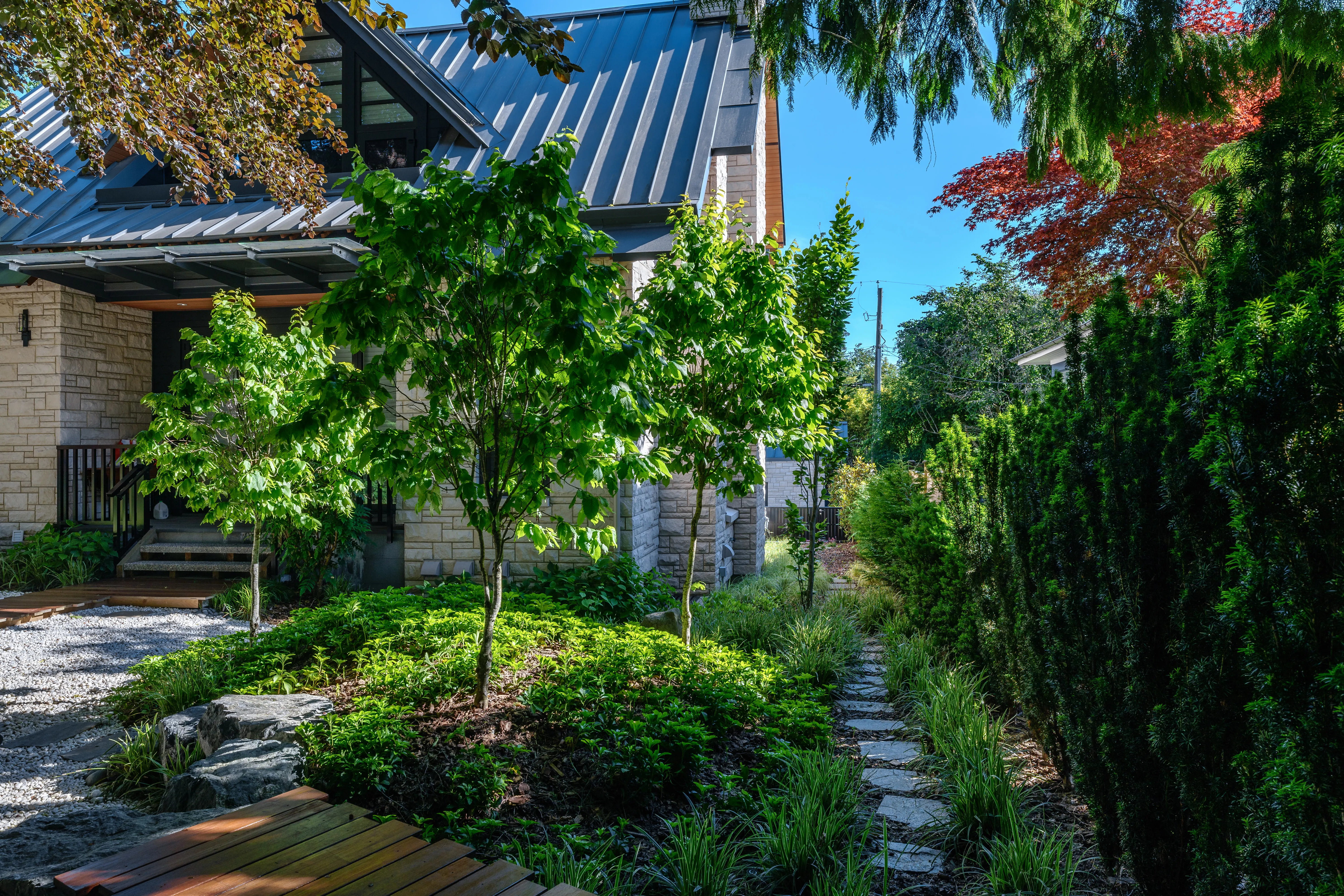Garden with timber path, trees and shrub planting at Hudson Street