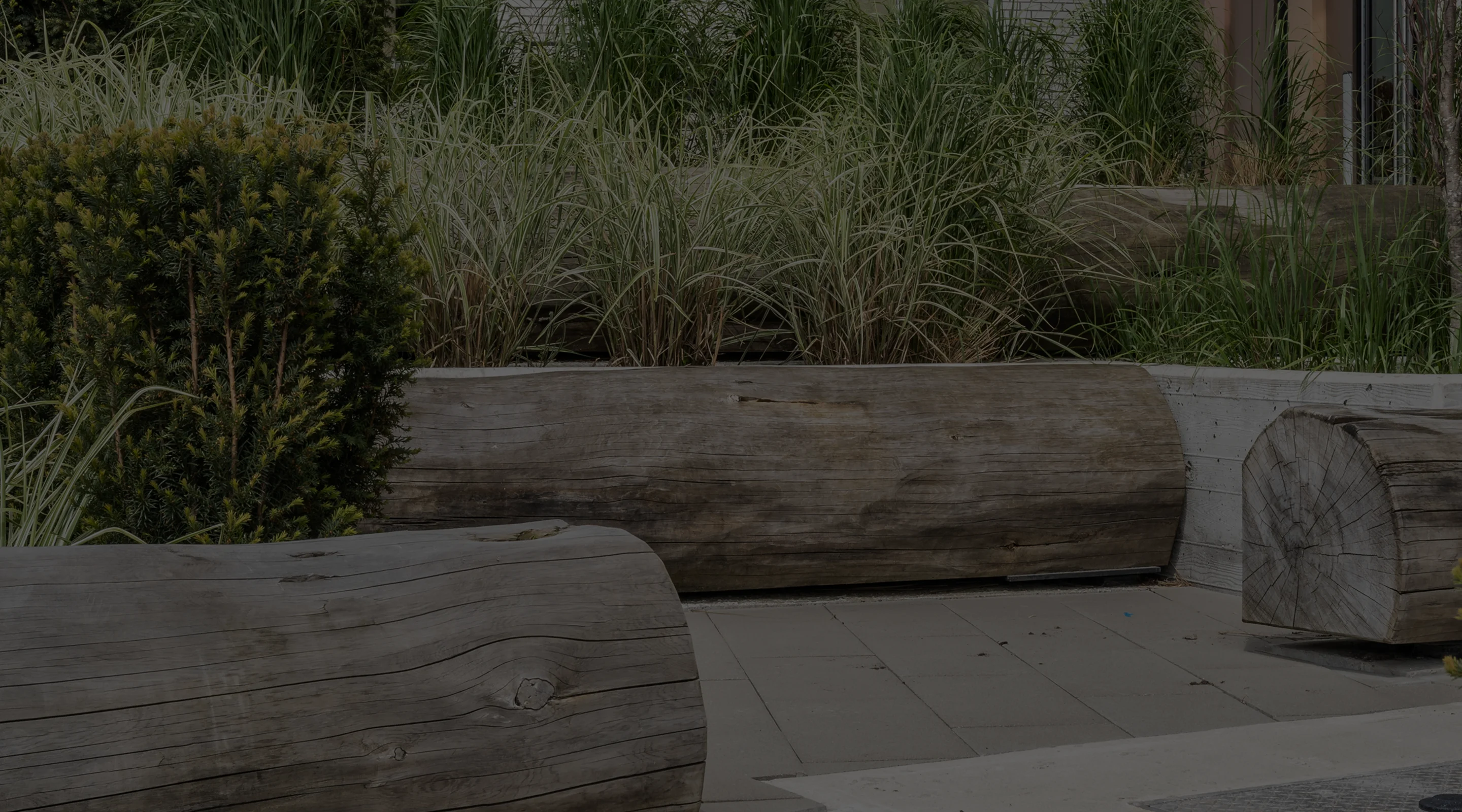 Timber log seating among ornamental grasses