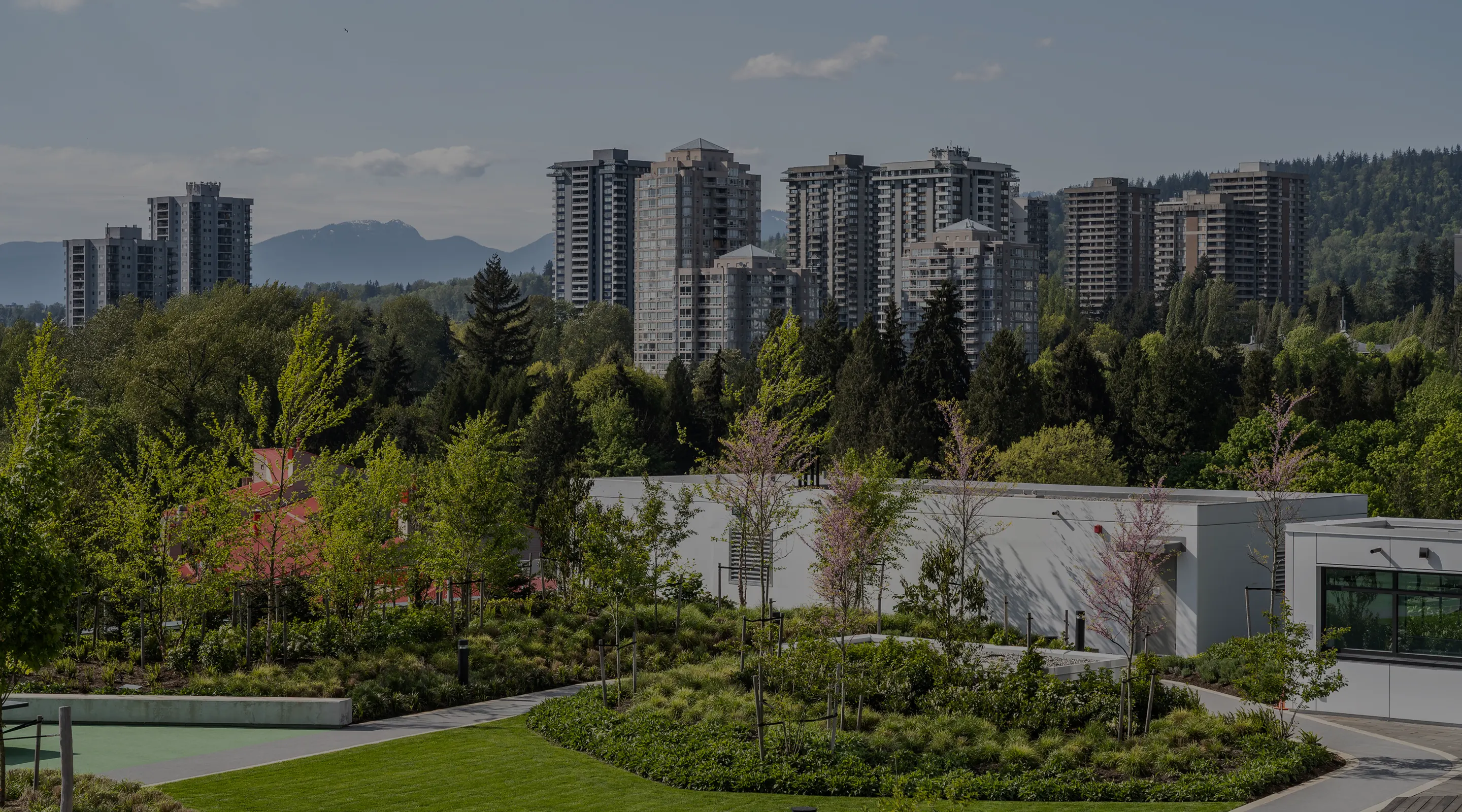Rooftop planting with high-rise towers and mountains in the background