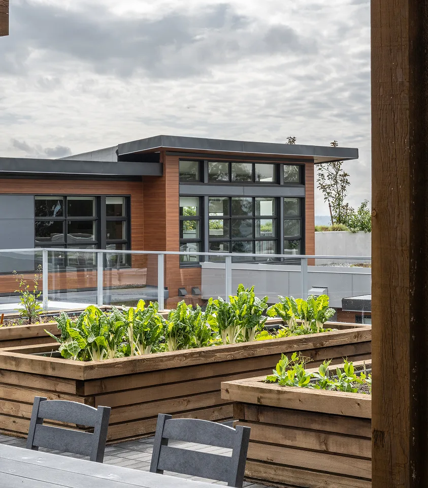 Raised timber vegetable planters on a rooftop amenity deck