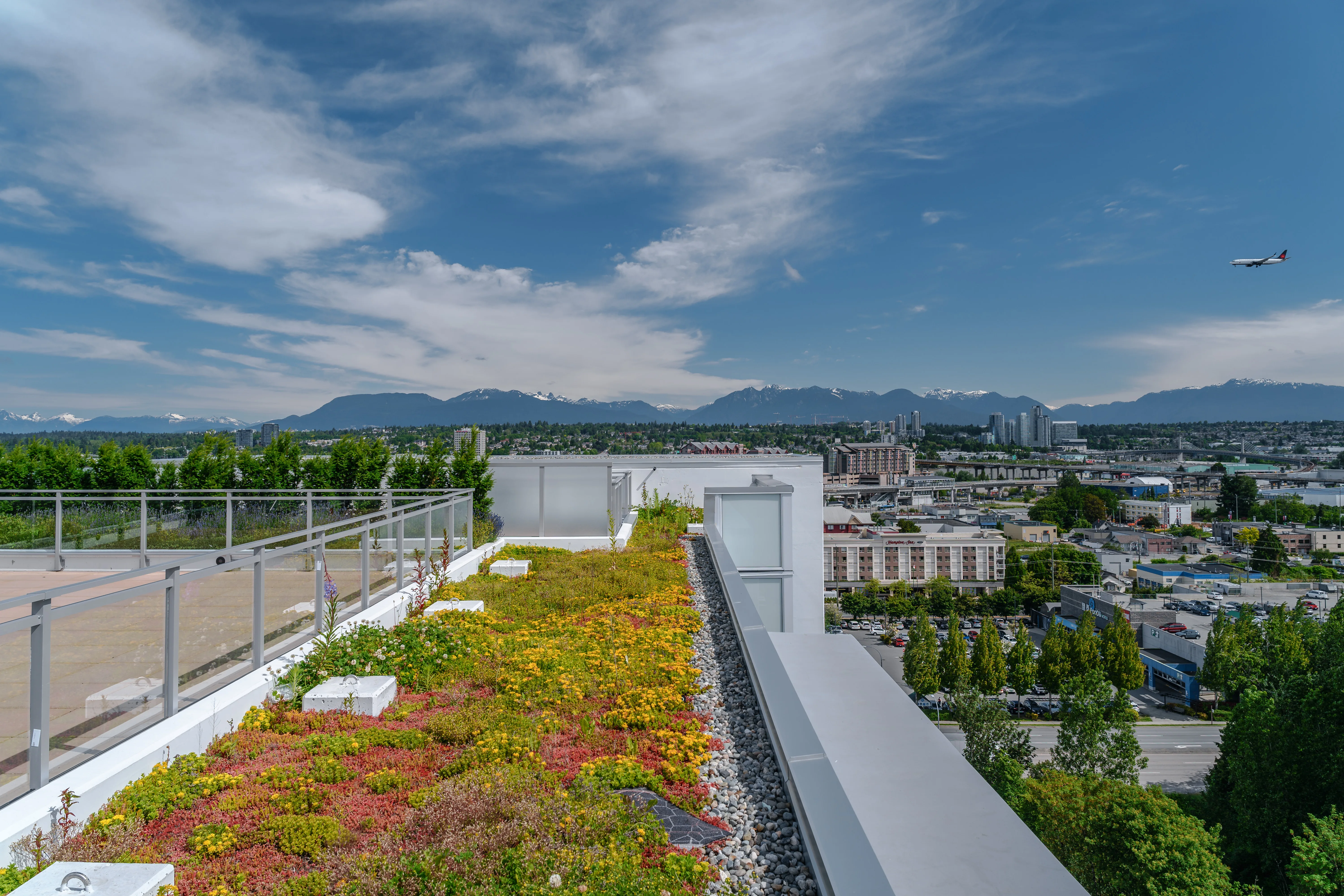 Green roof planting along a rooftop edge with mountain views at Torino