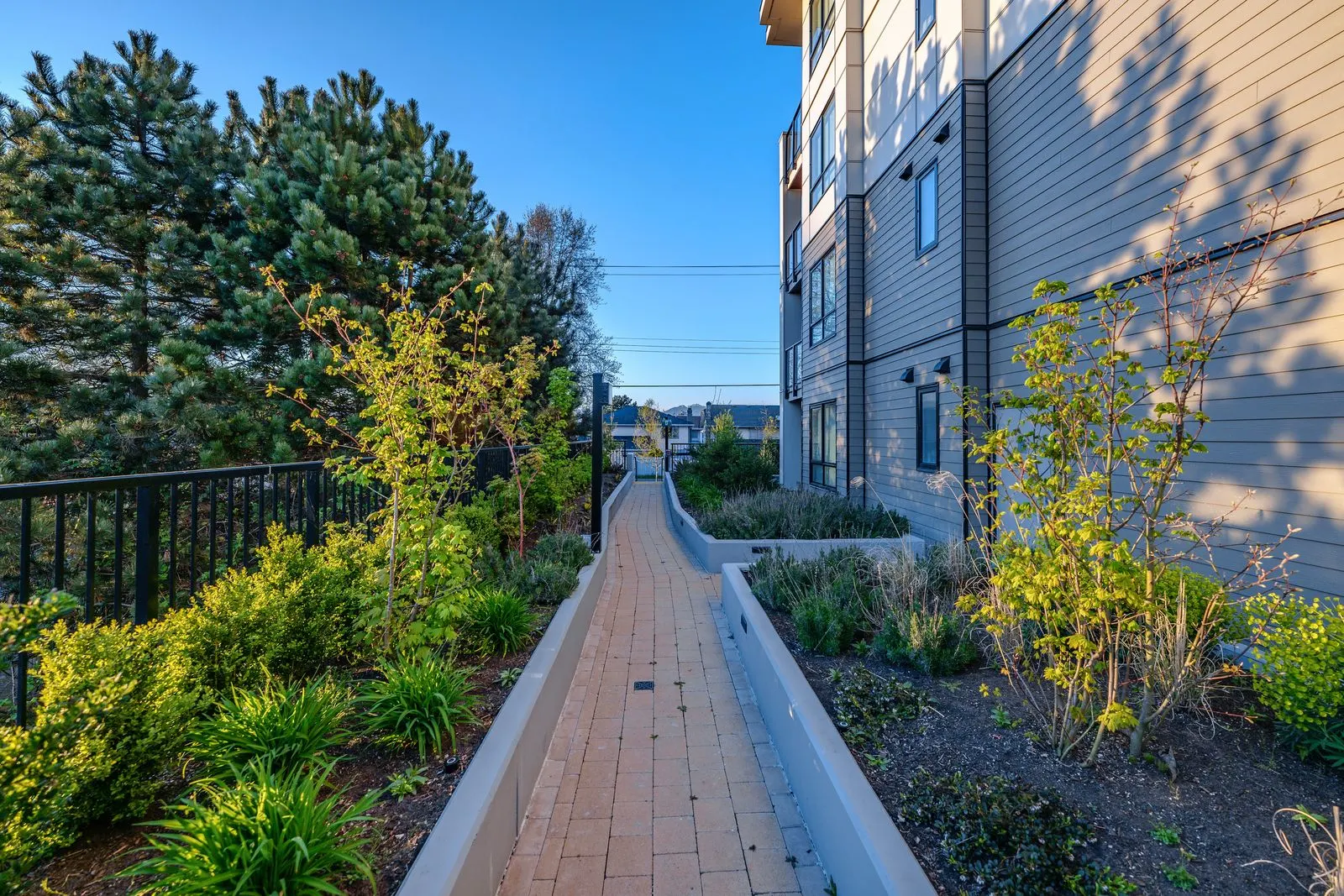 Narrow concrete channel path through planting beside a building at Spark