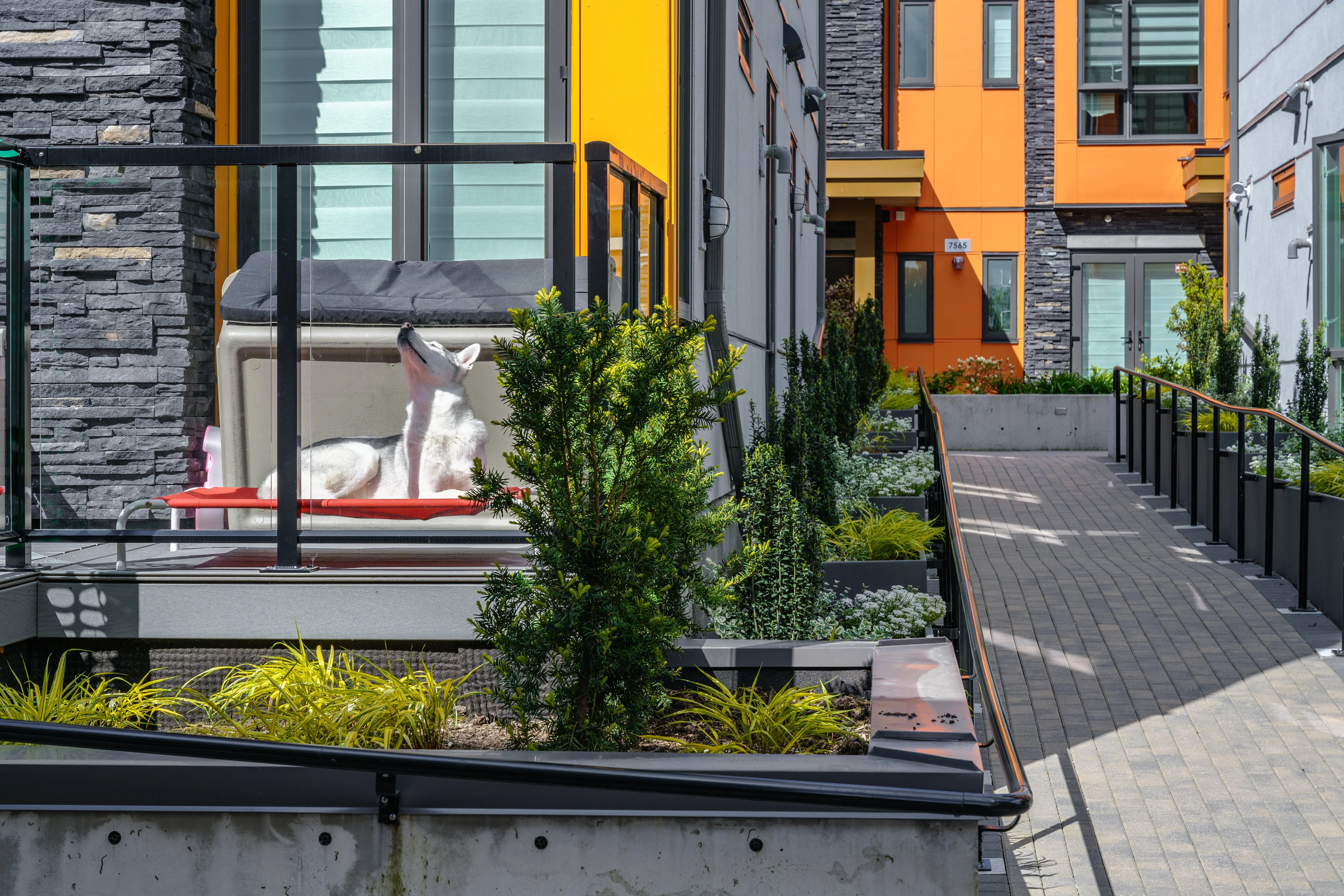 Patio and planting beside a paved walkway at Terraces at Oak Park