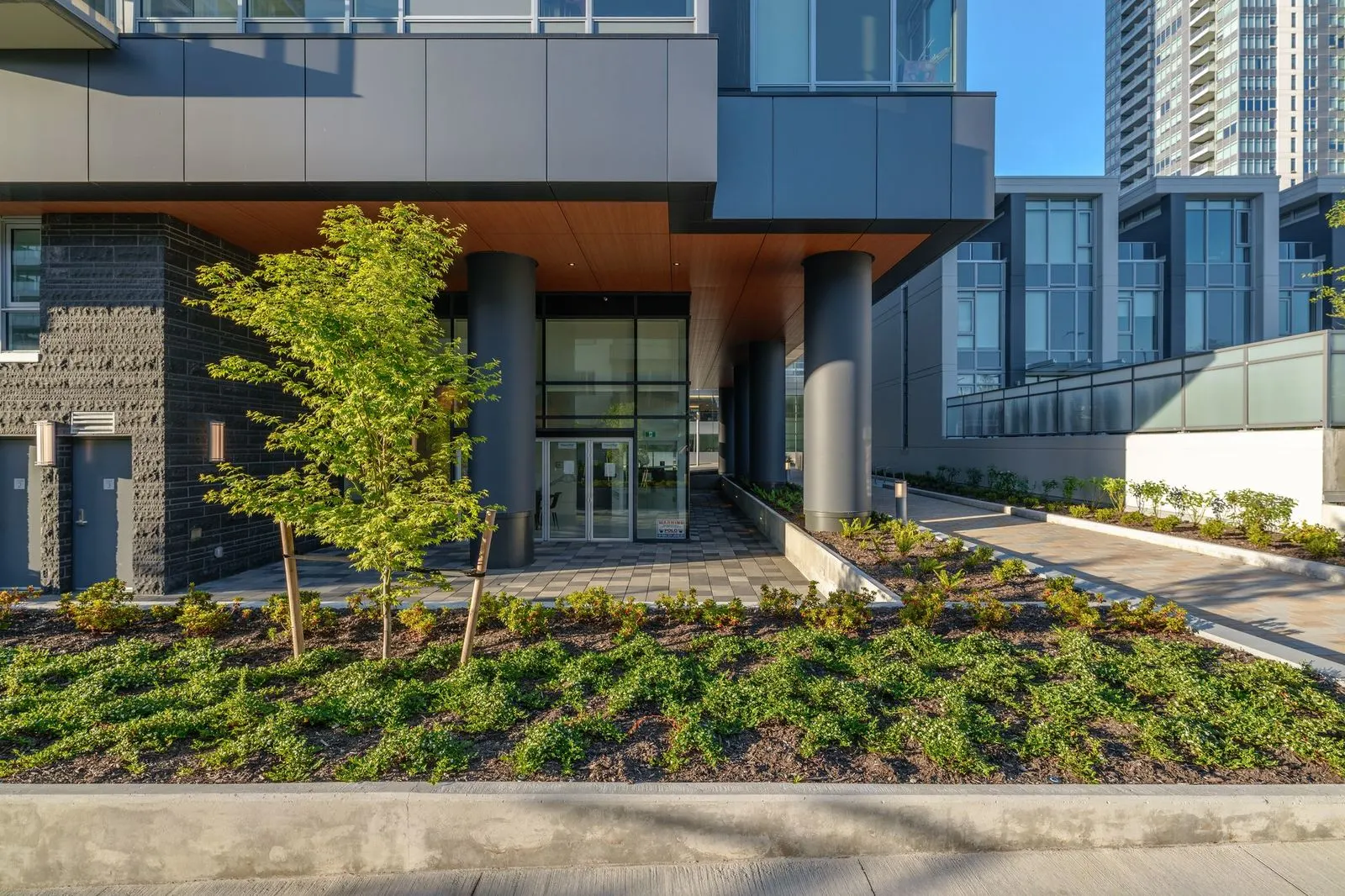 Planting beds and young tree at a tower entrance at Sun Tower II