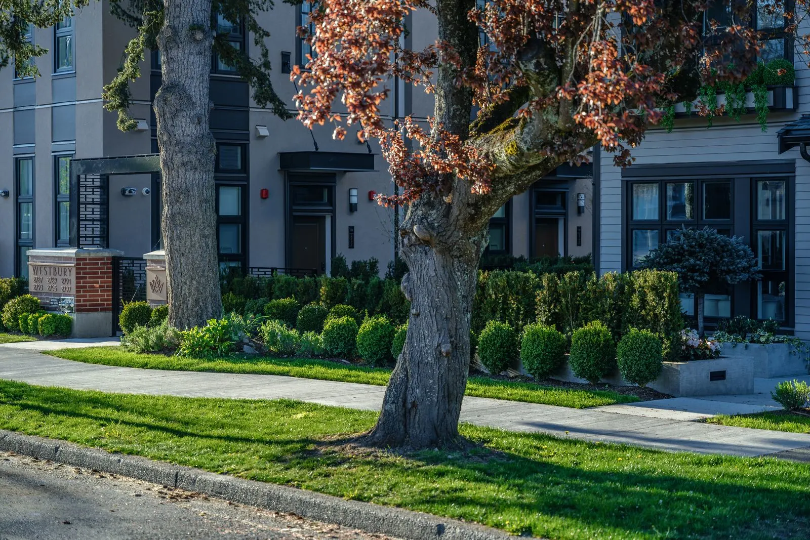 Lawn and shrub planting around a mature tree at Westbury Townhomes